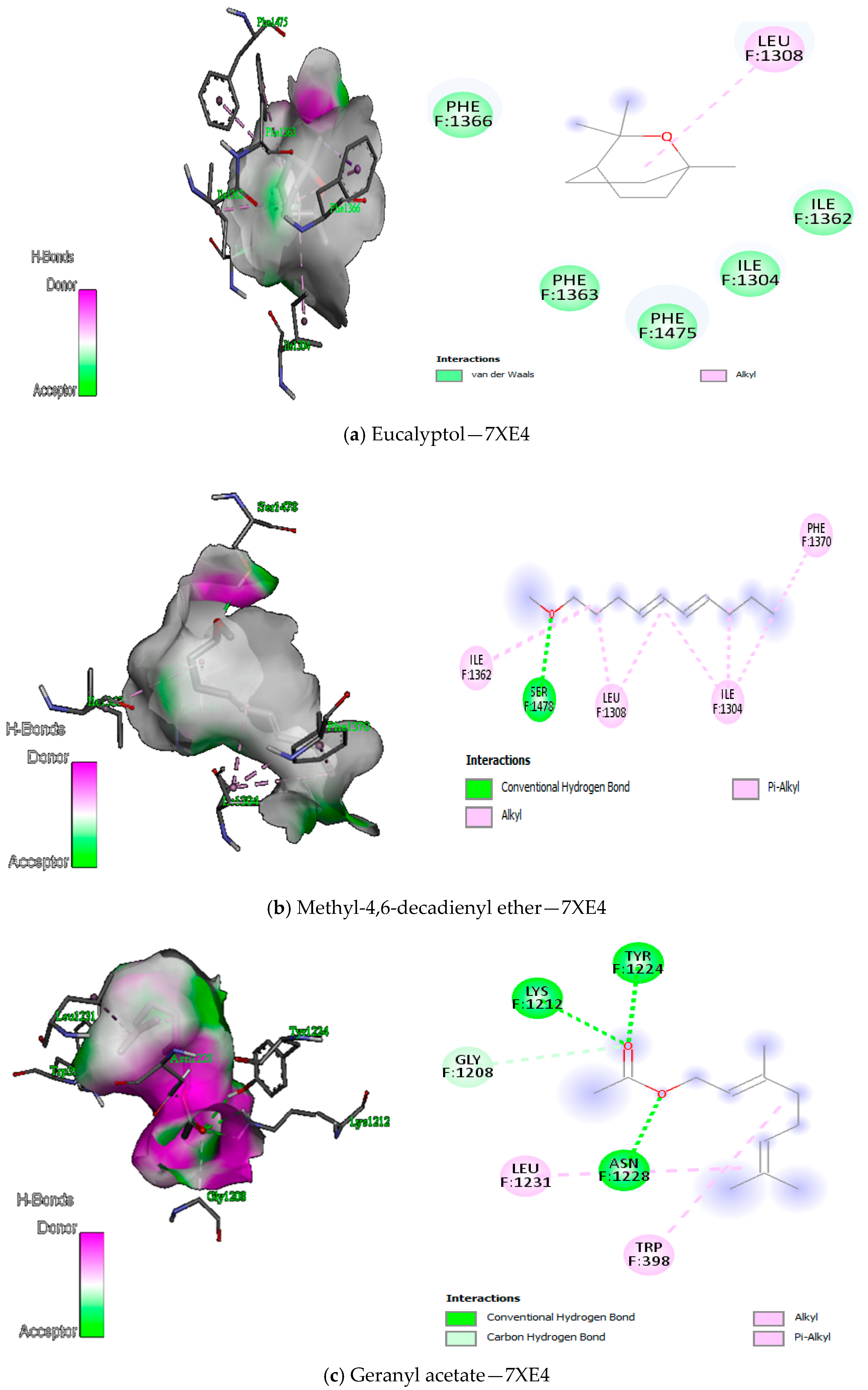 Antioxidants 12 01807 g011a