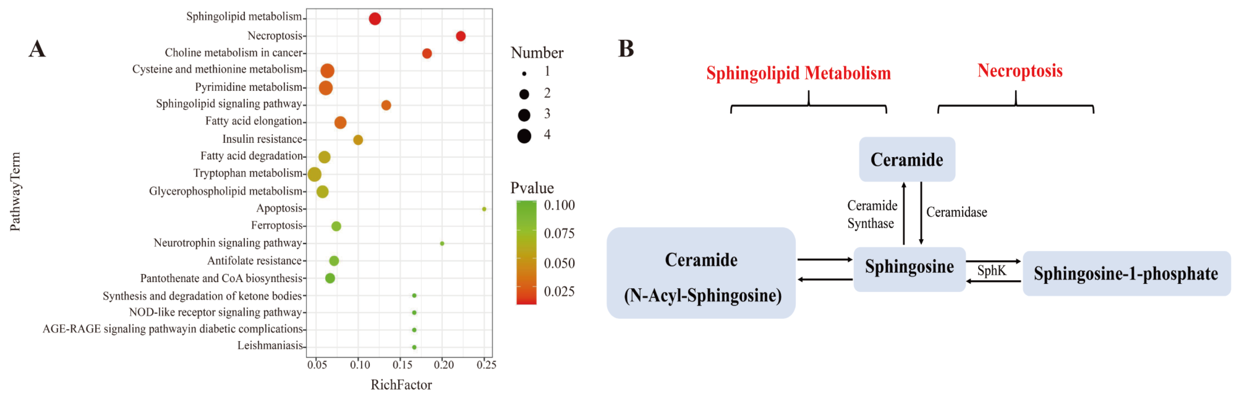 Antioxidants 12 01809 g004