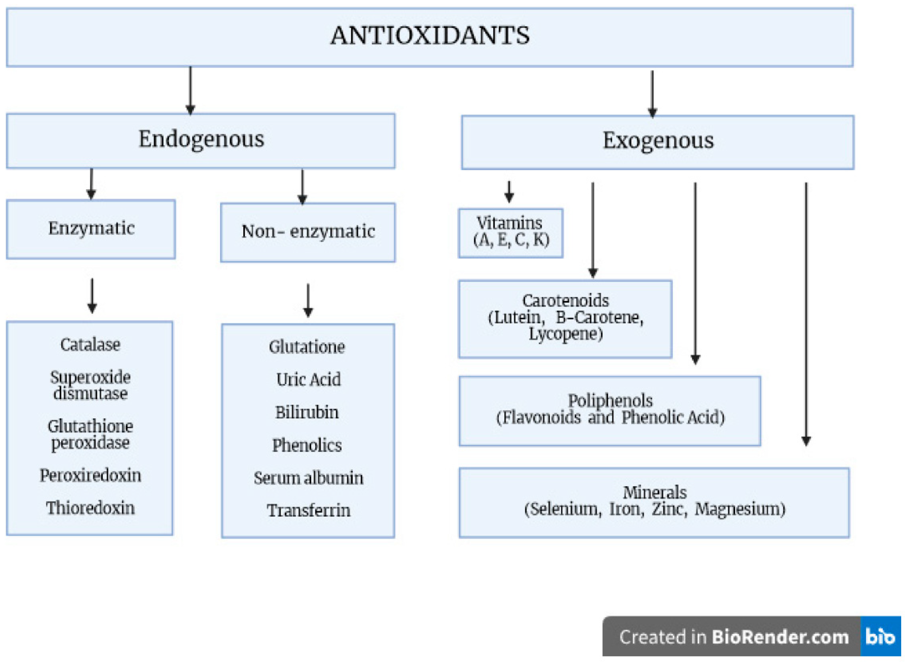 Antioxidants 12 01811 g001 Antioxidants 12 01811 g001