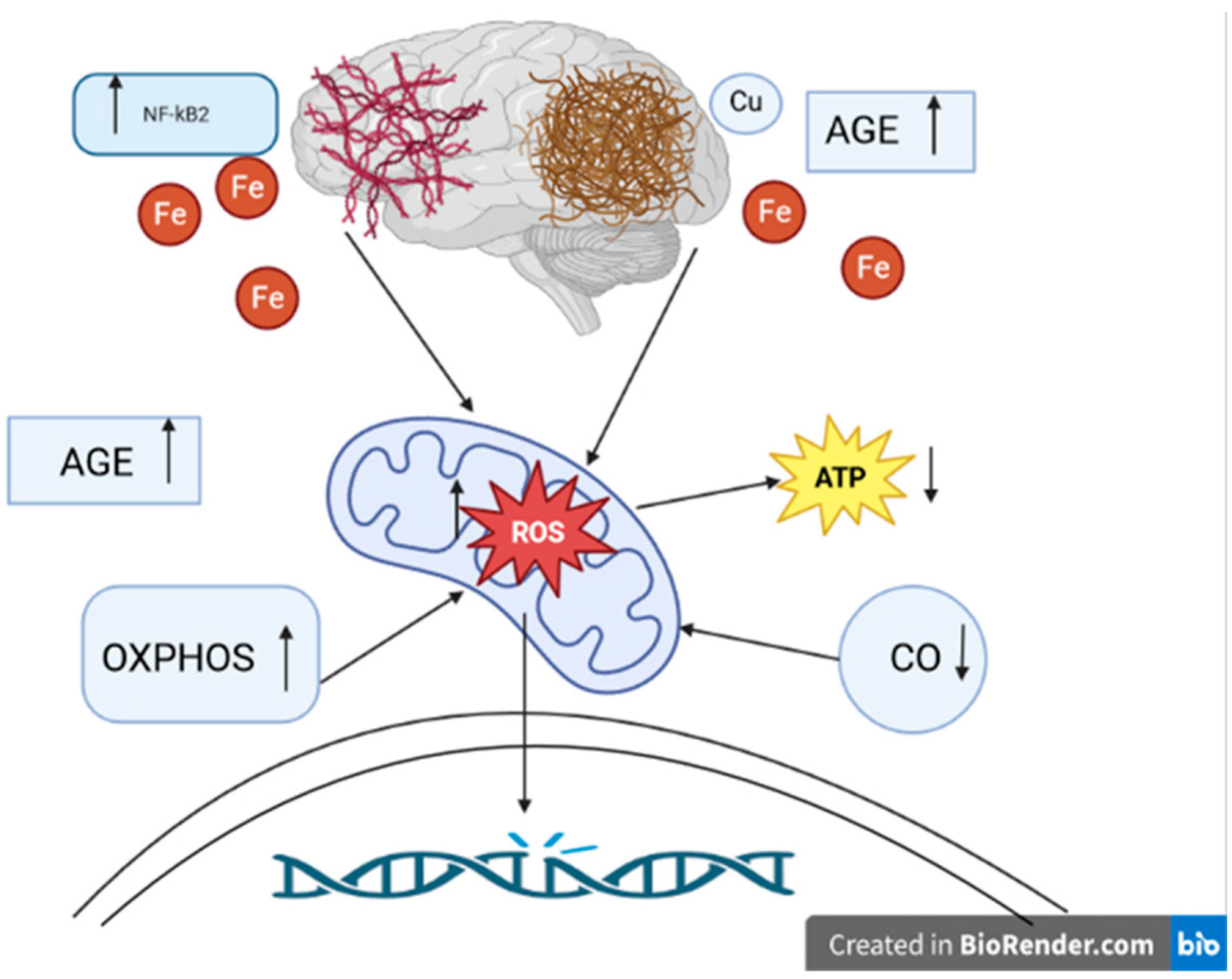 Antioxidants 12 01811 g002 Antioxidants 12 01811 g002