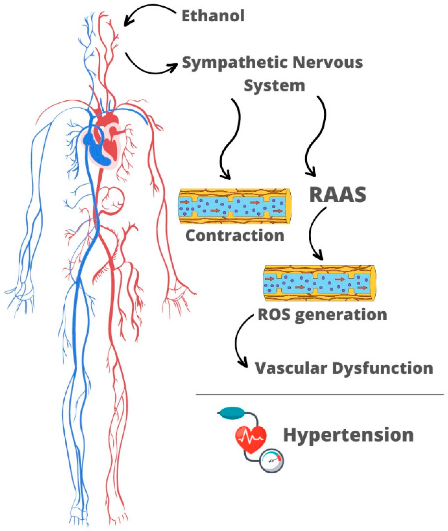 Antioxidants 12 01813 g001 Antioxidants 12 01813 g001