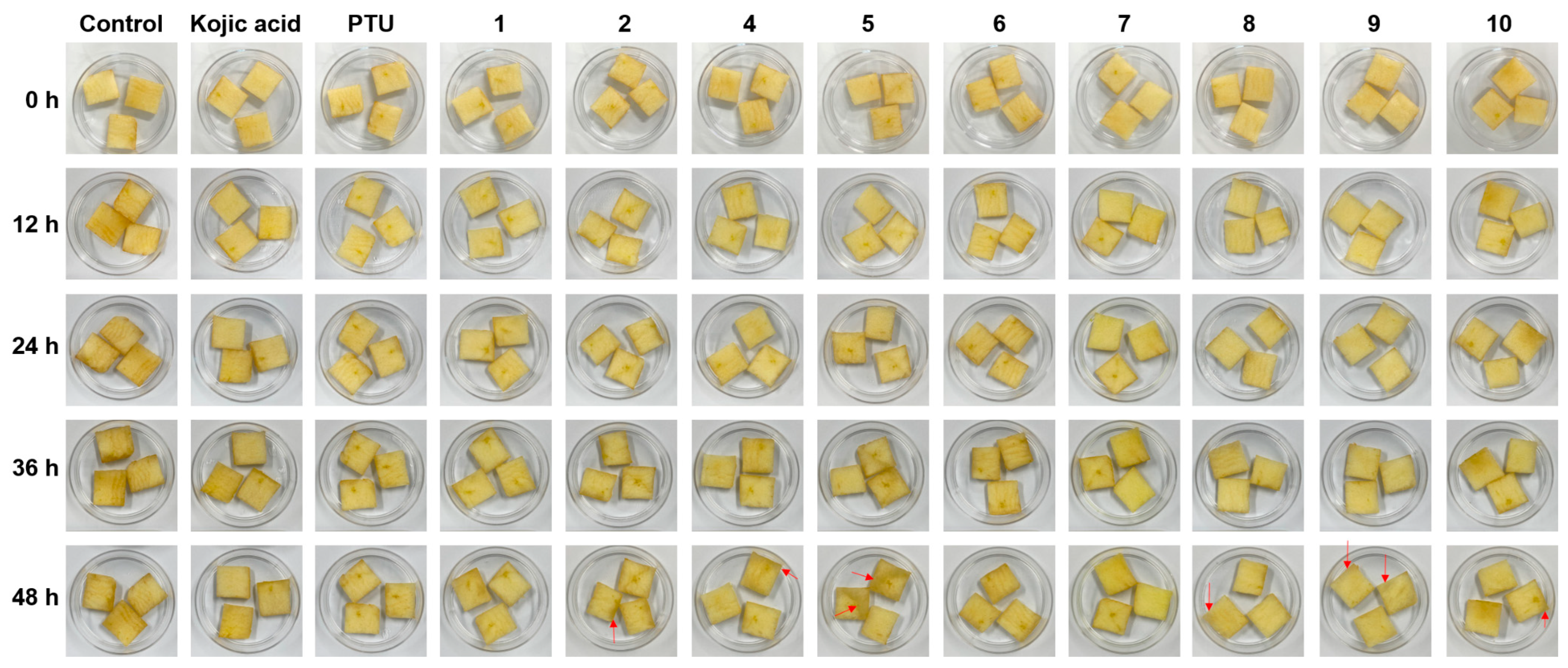 Antioxidants 12 01814 g007