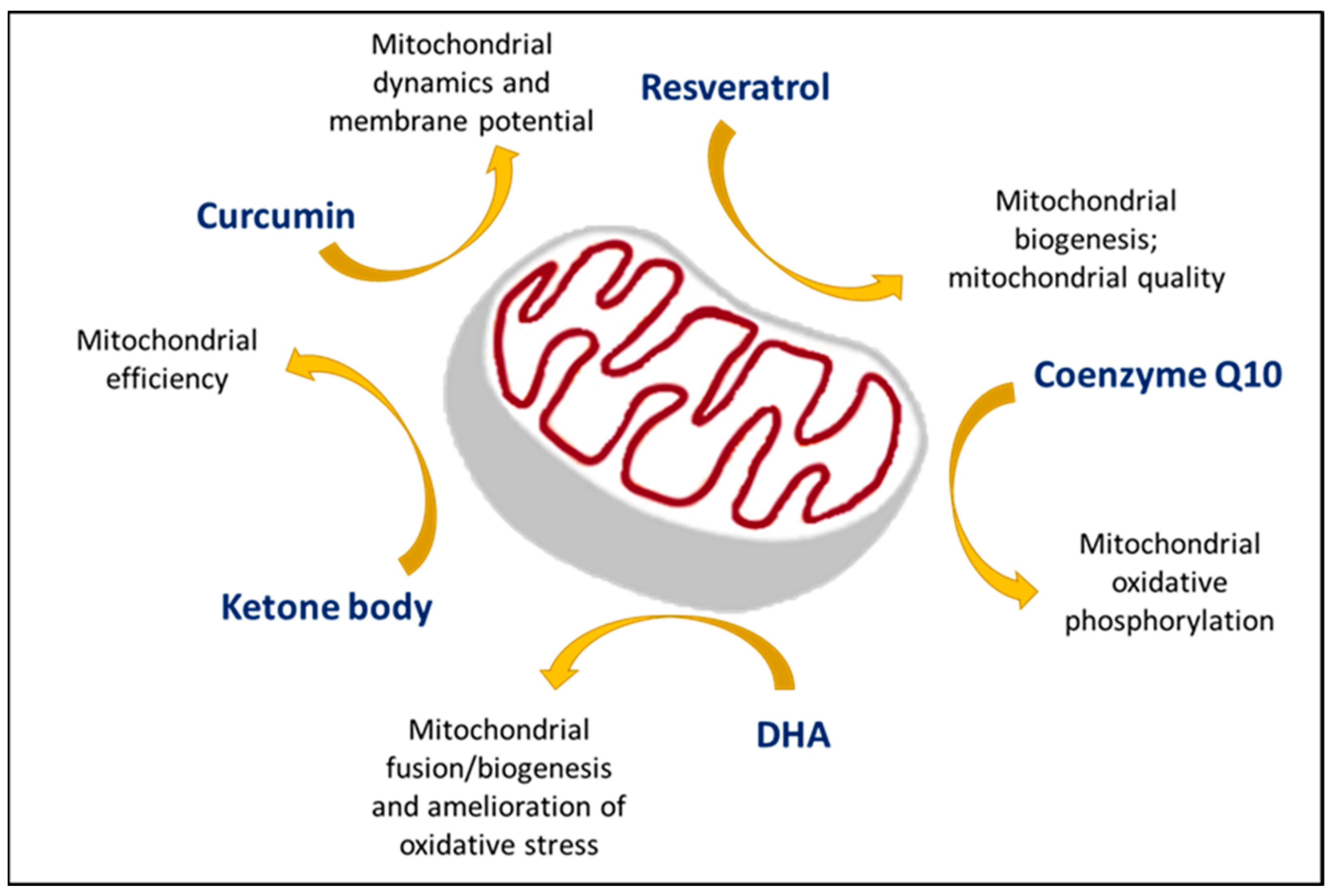 Antioxidants 12 01816 g003