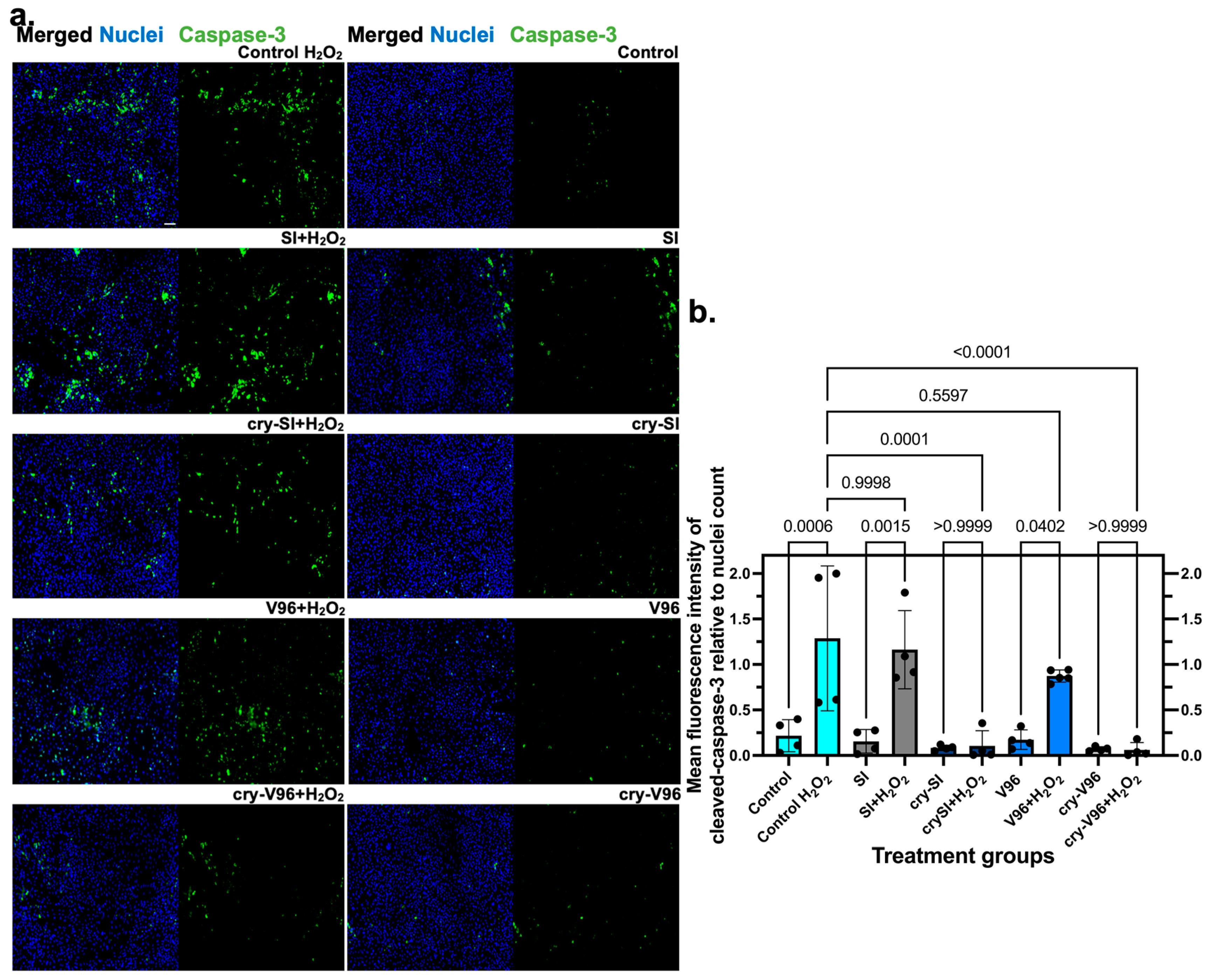 Antioxidants 12 01817 g003