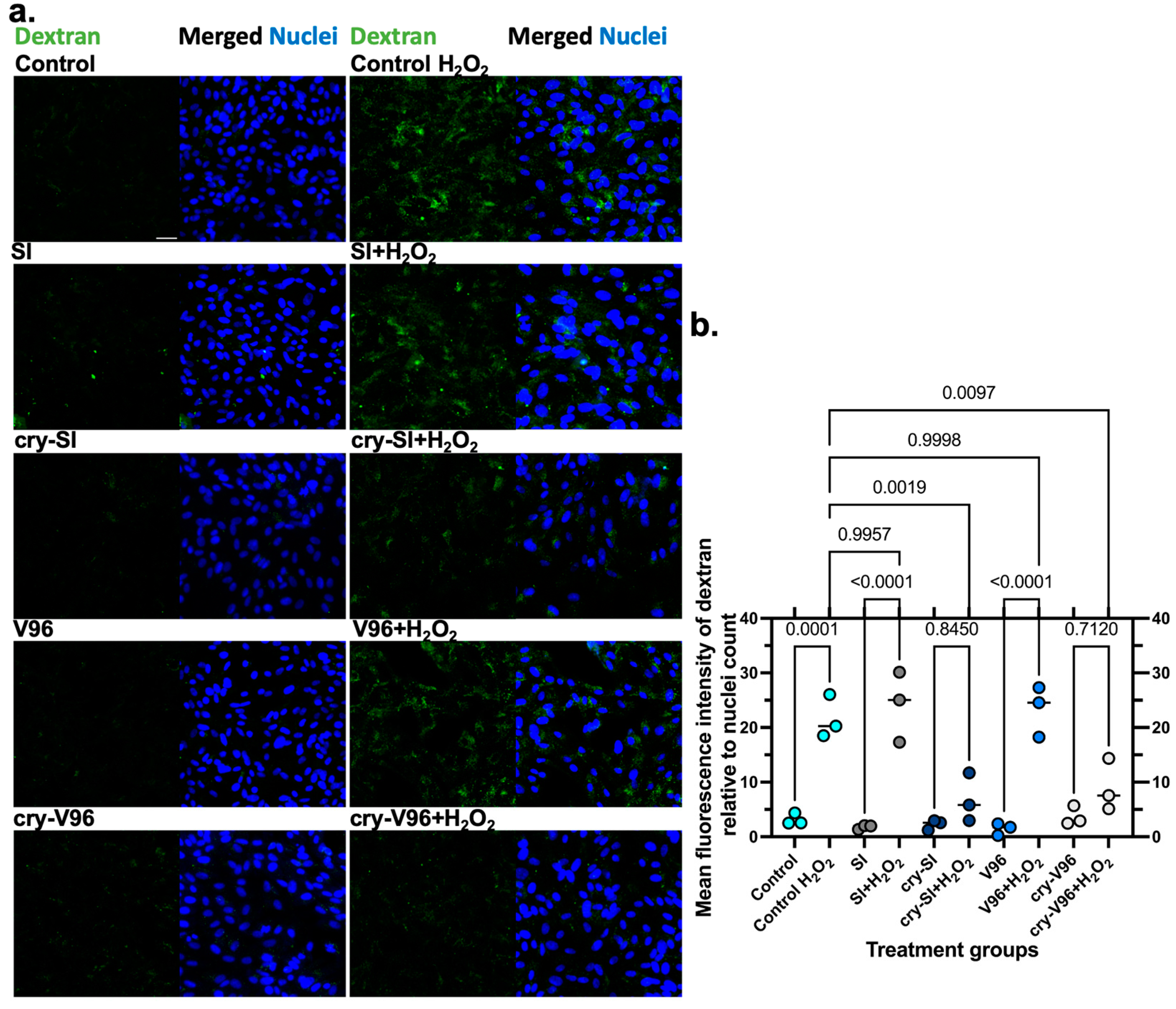 Antioxidants 12 01817 g005