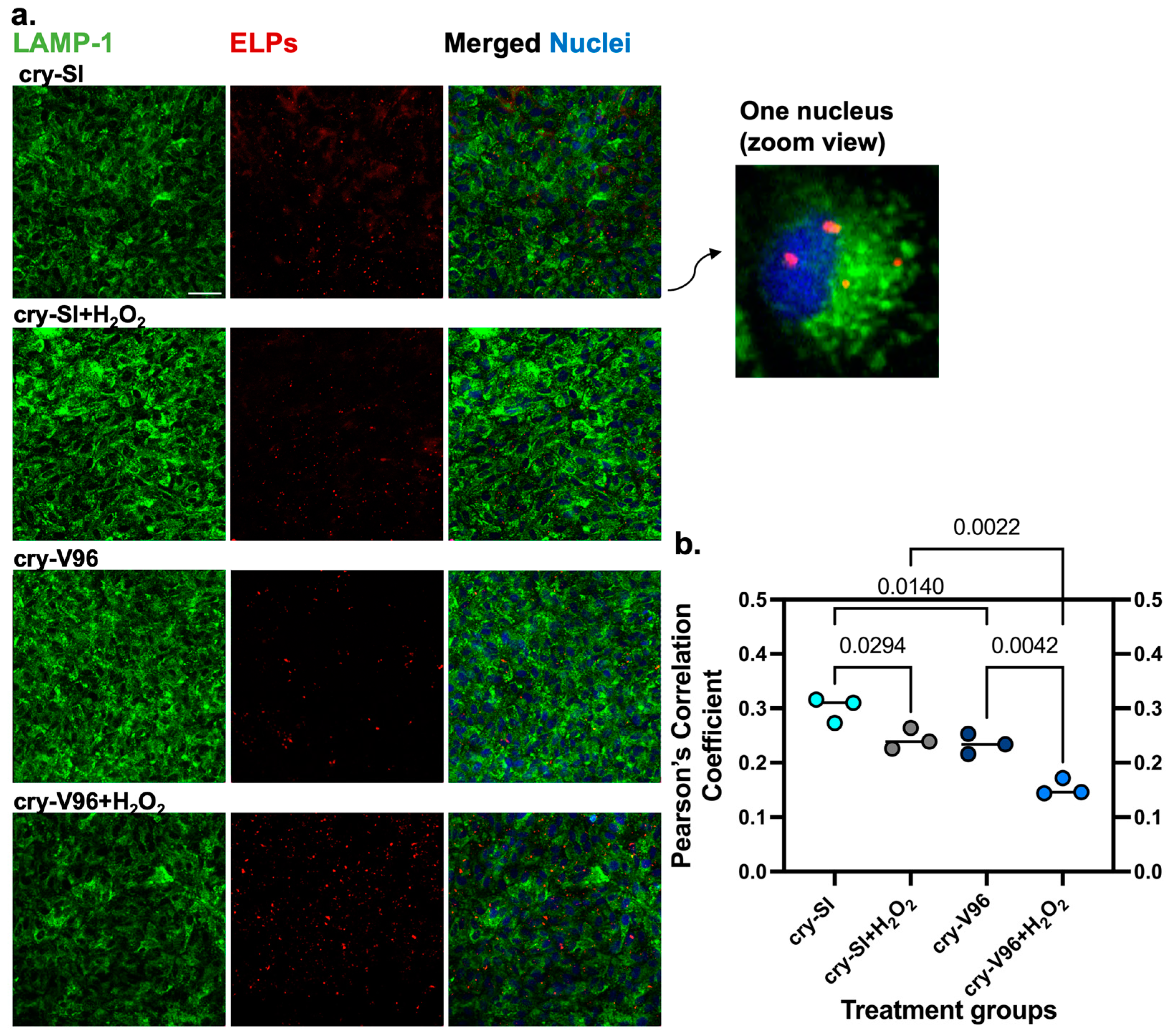 Antioxidants 12 01817 g006
