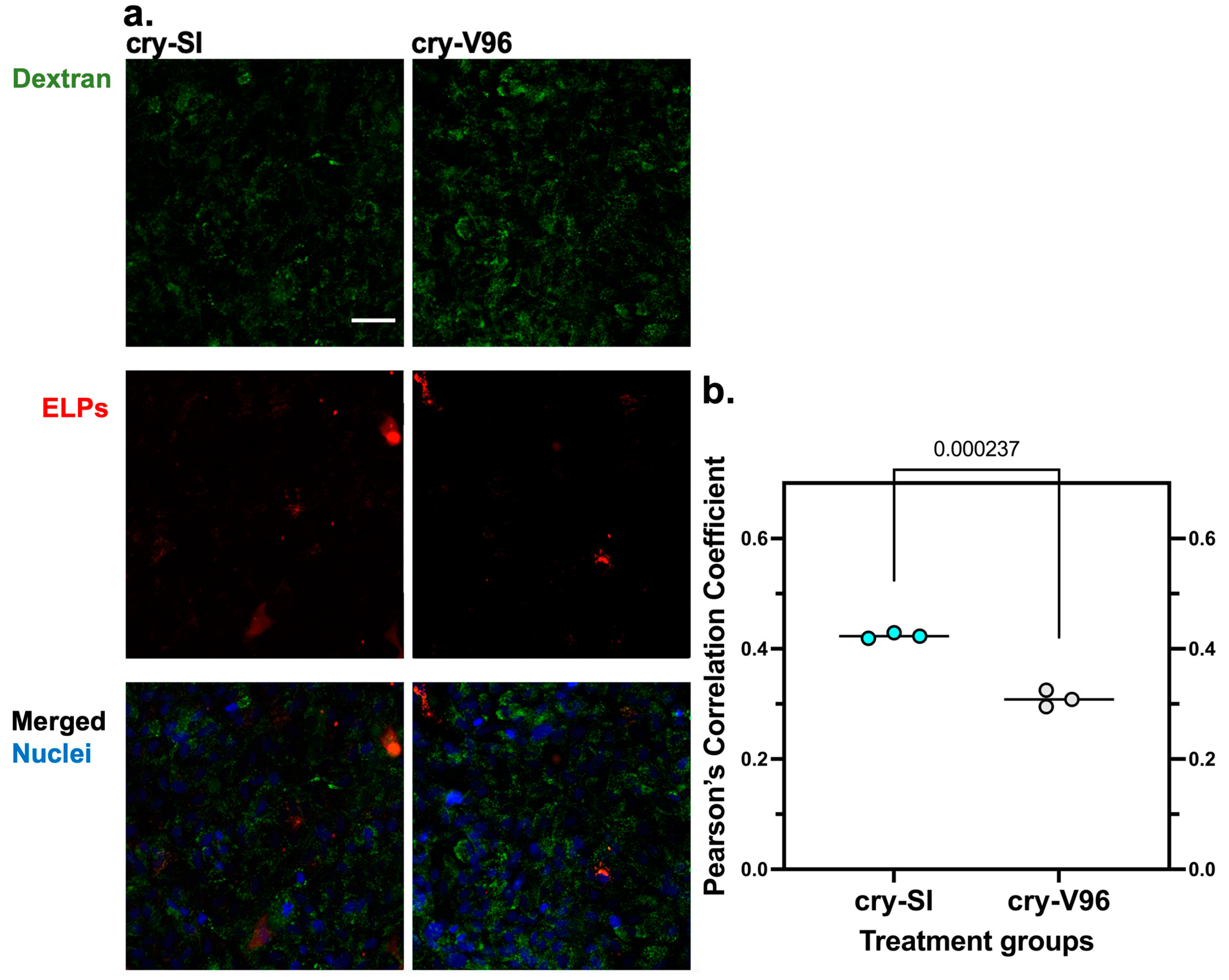 Antioxidants 12 01817 g007