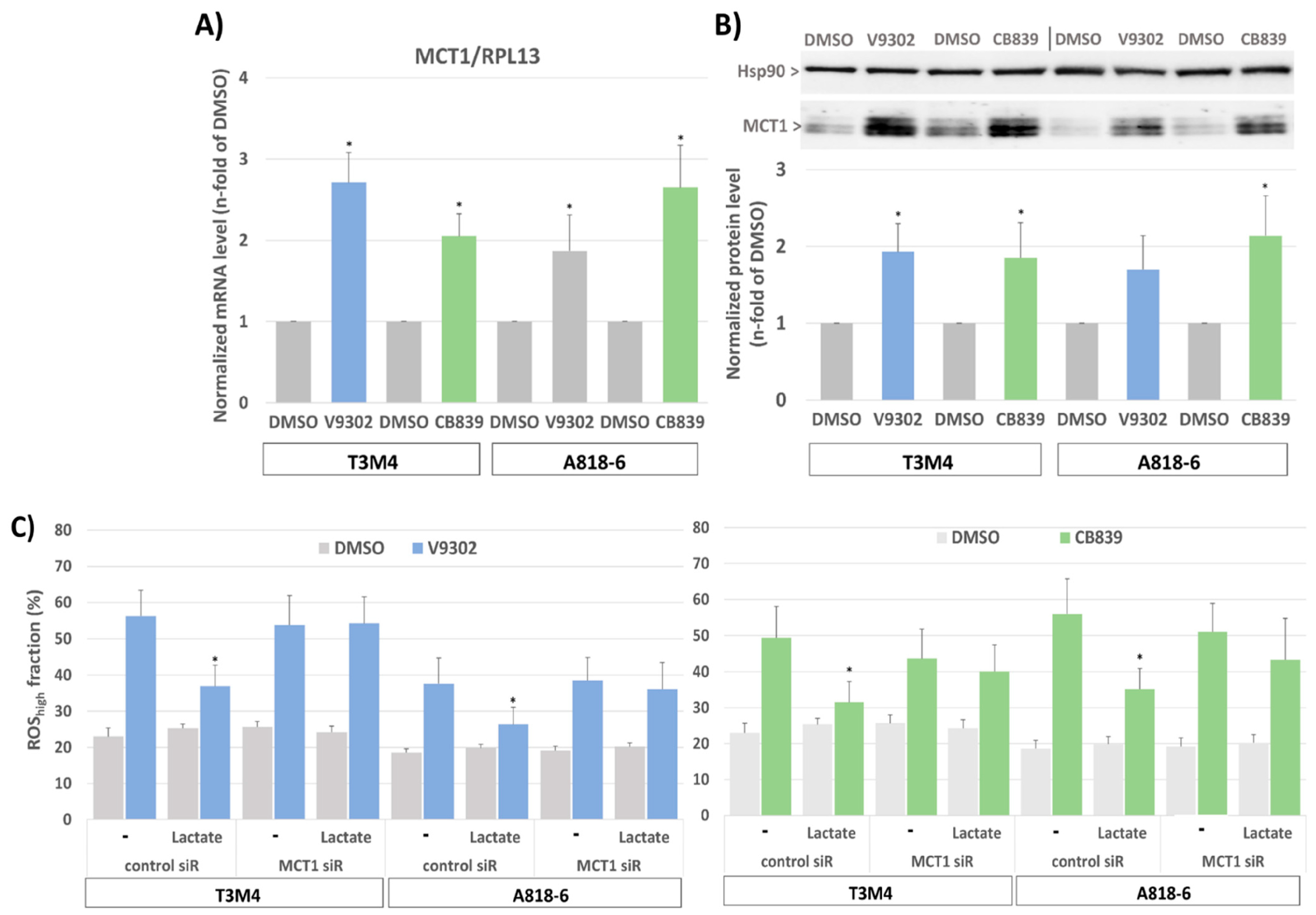 Antioxidants 12 01818 g007