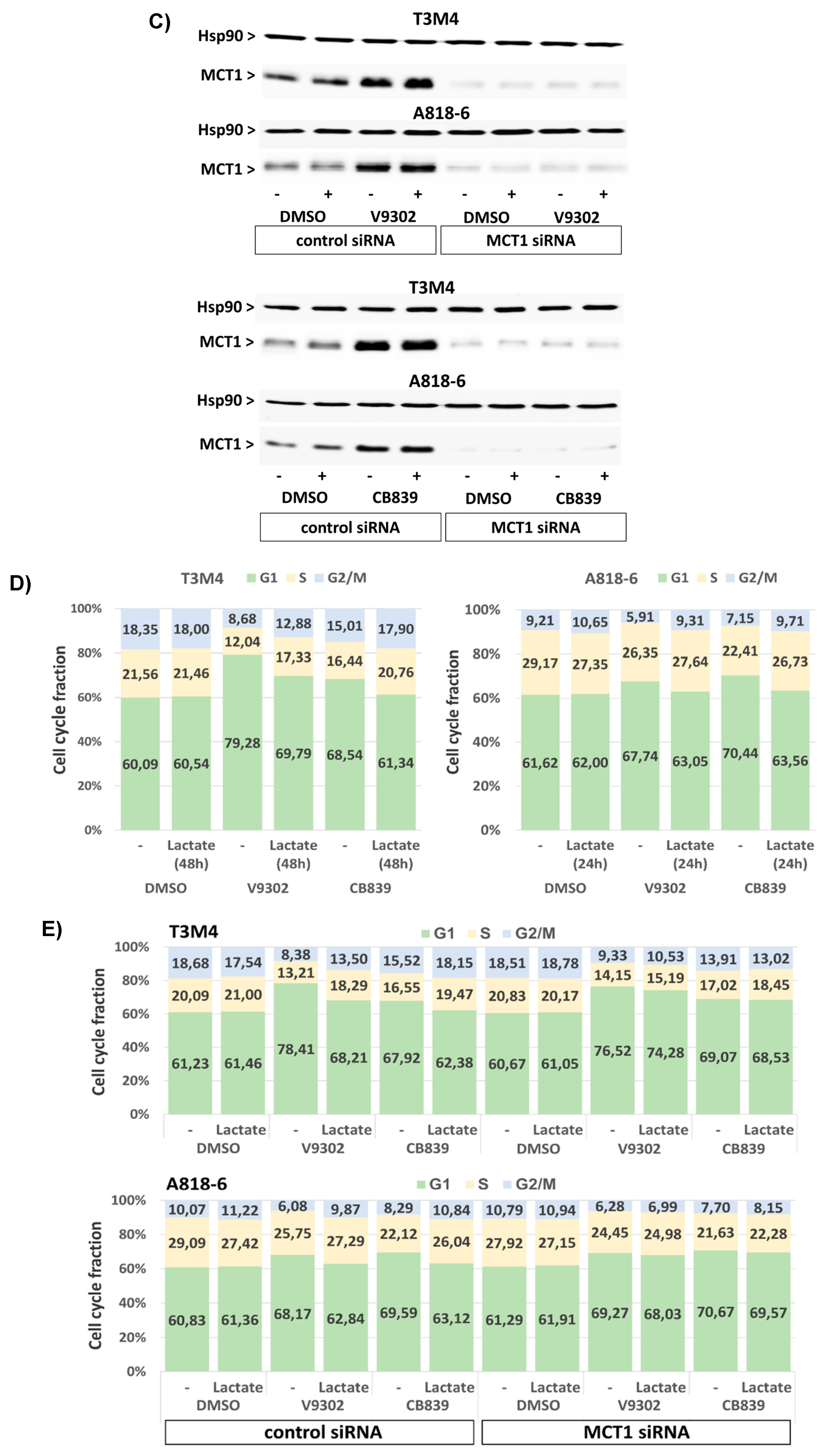 Antioxidants 12 01818 g008b