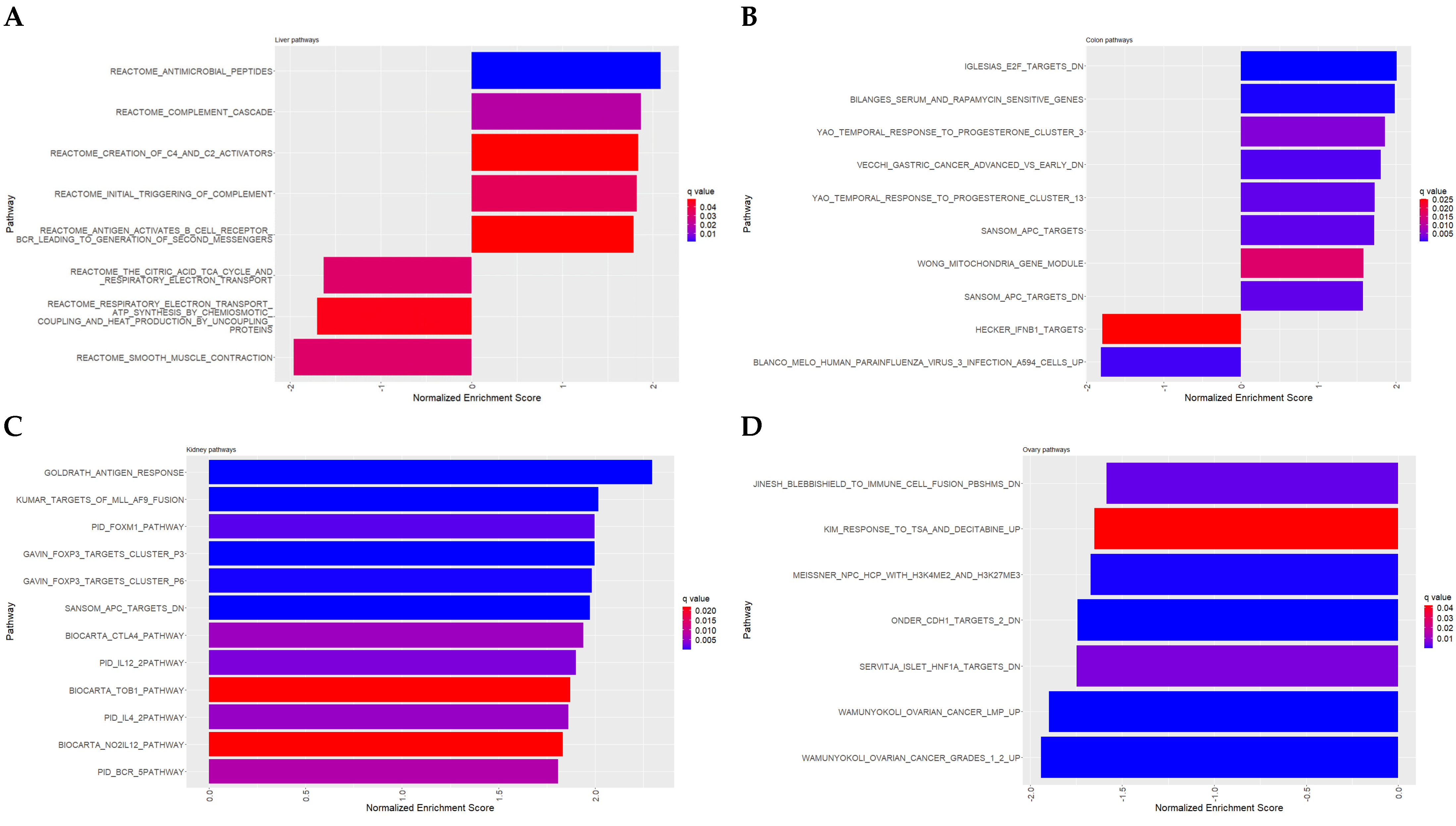 Antioxidants 12 01821 g005