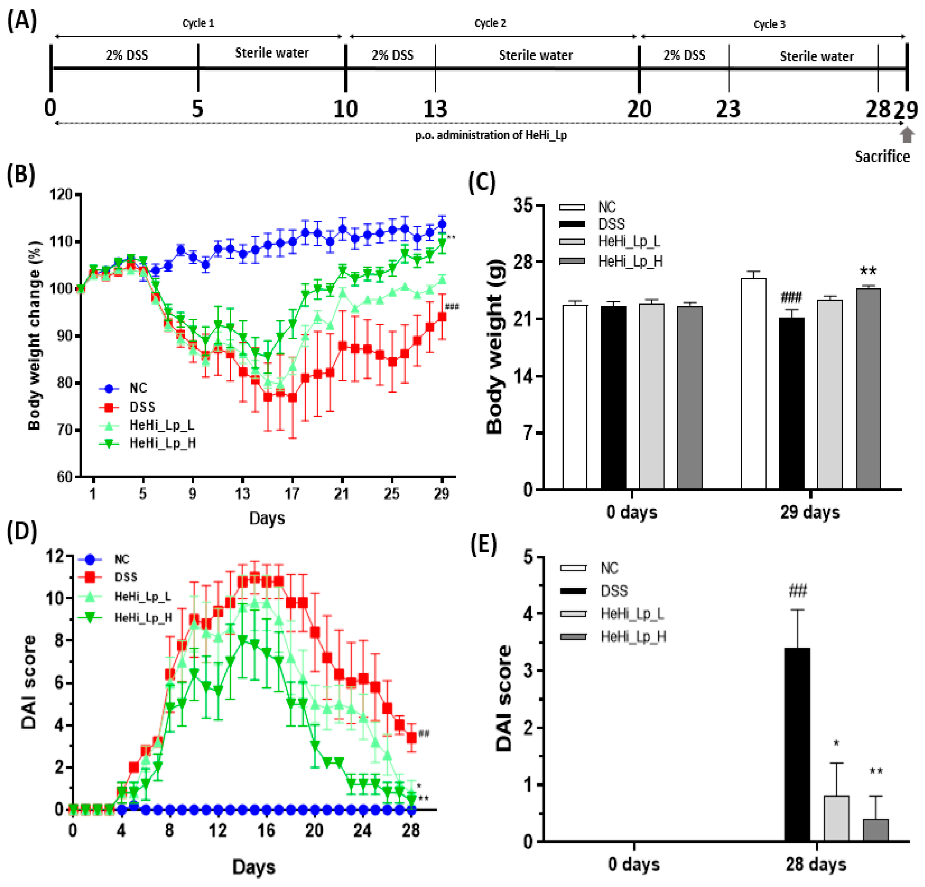 Antioxidants 12 01822 g001
