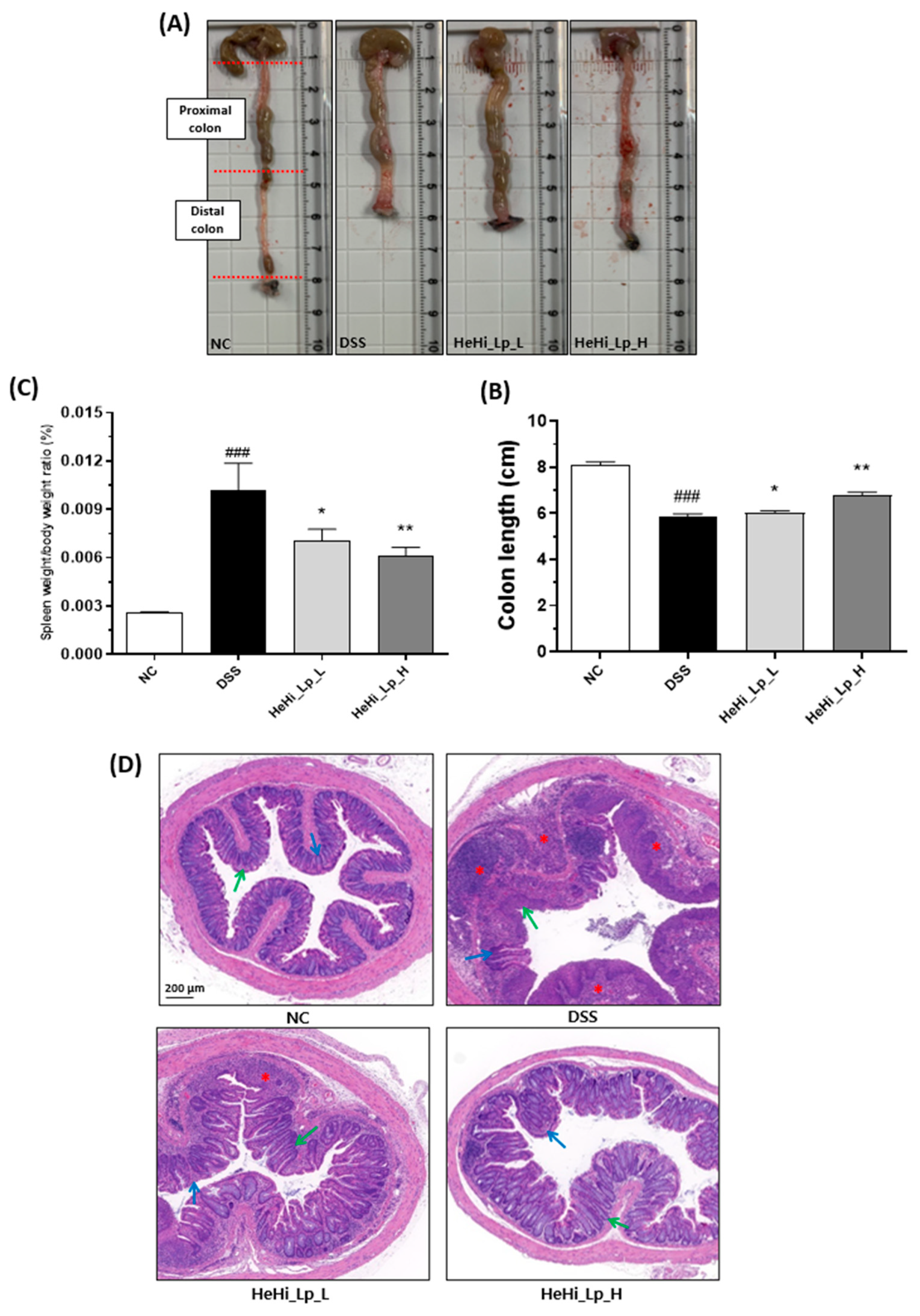 Antioxidants 12 01822 g002