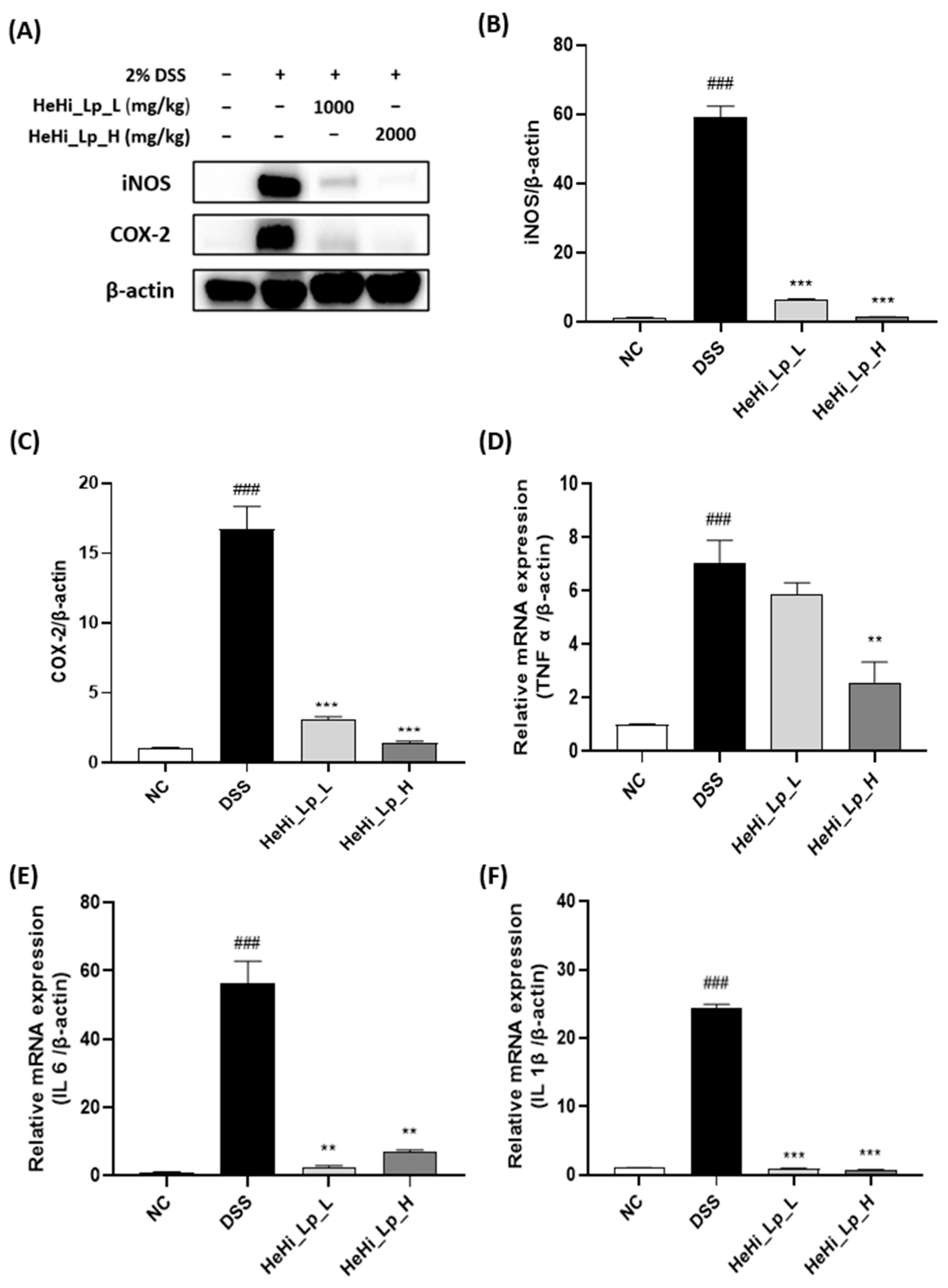 Antioxidants 12 01822 g003