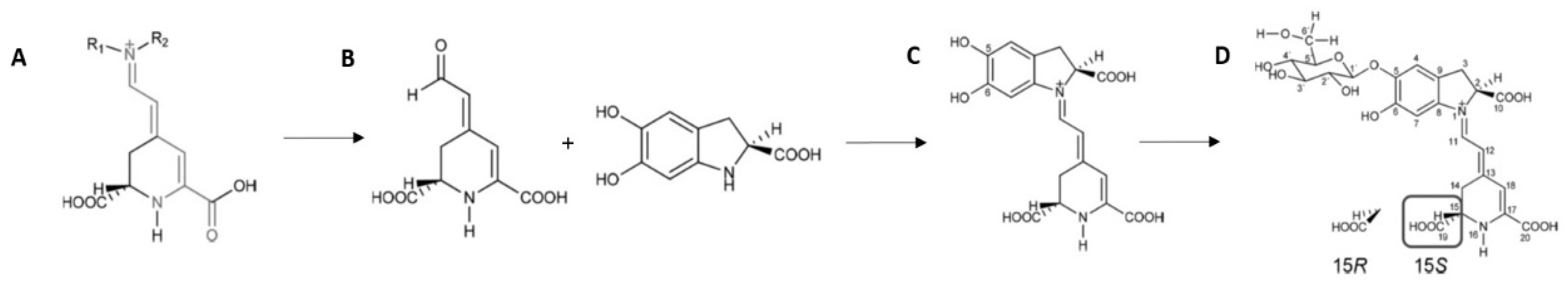 Antioxidants 12 01823 g001