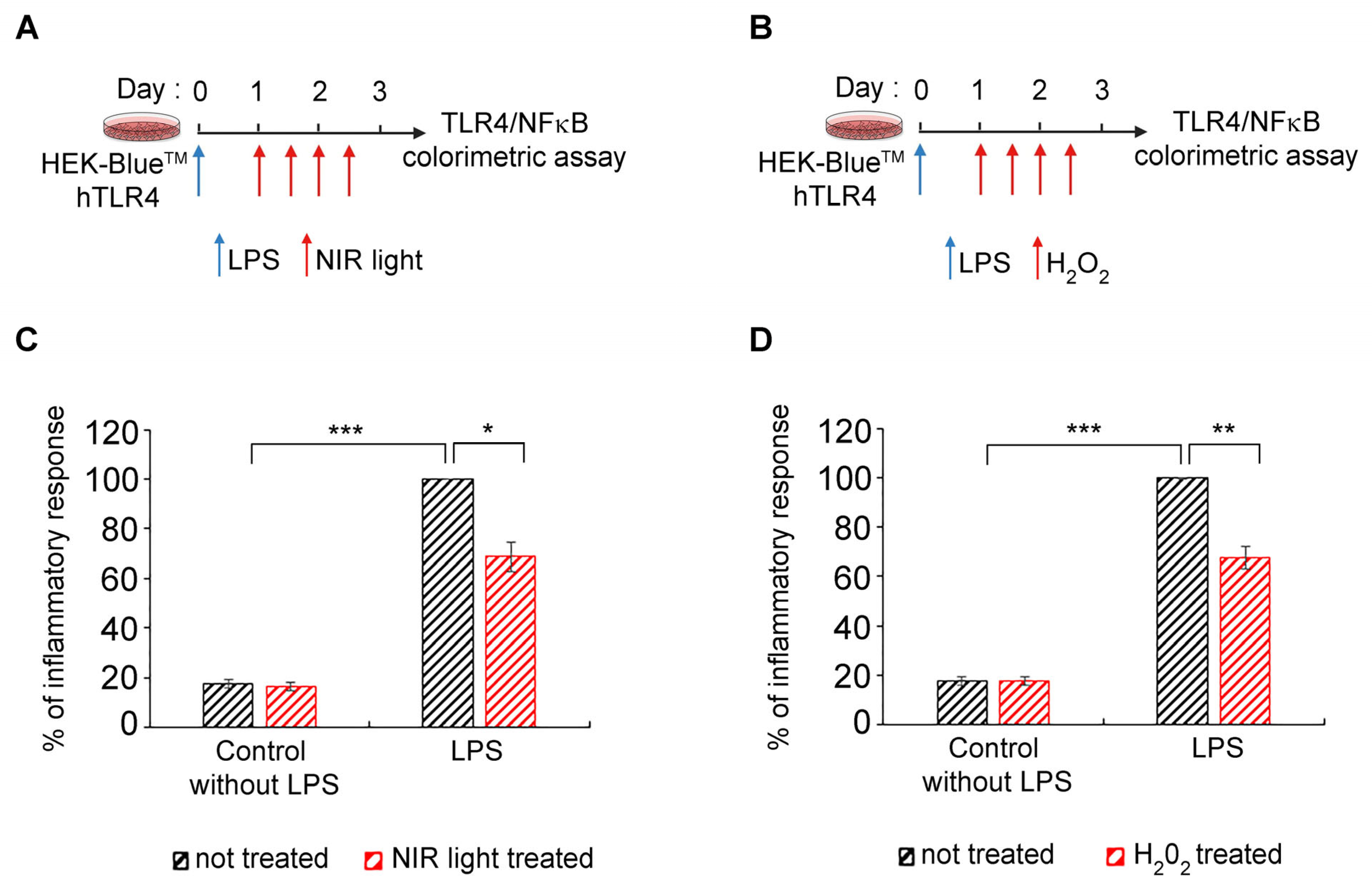 Antioxidants 12 01824 g007