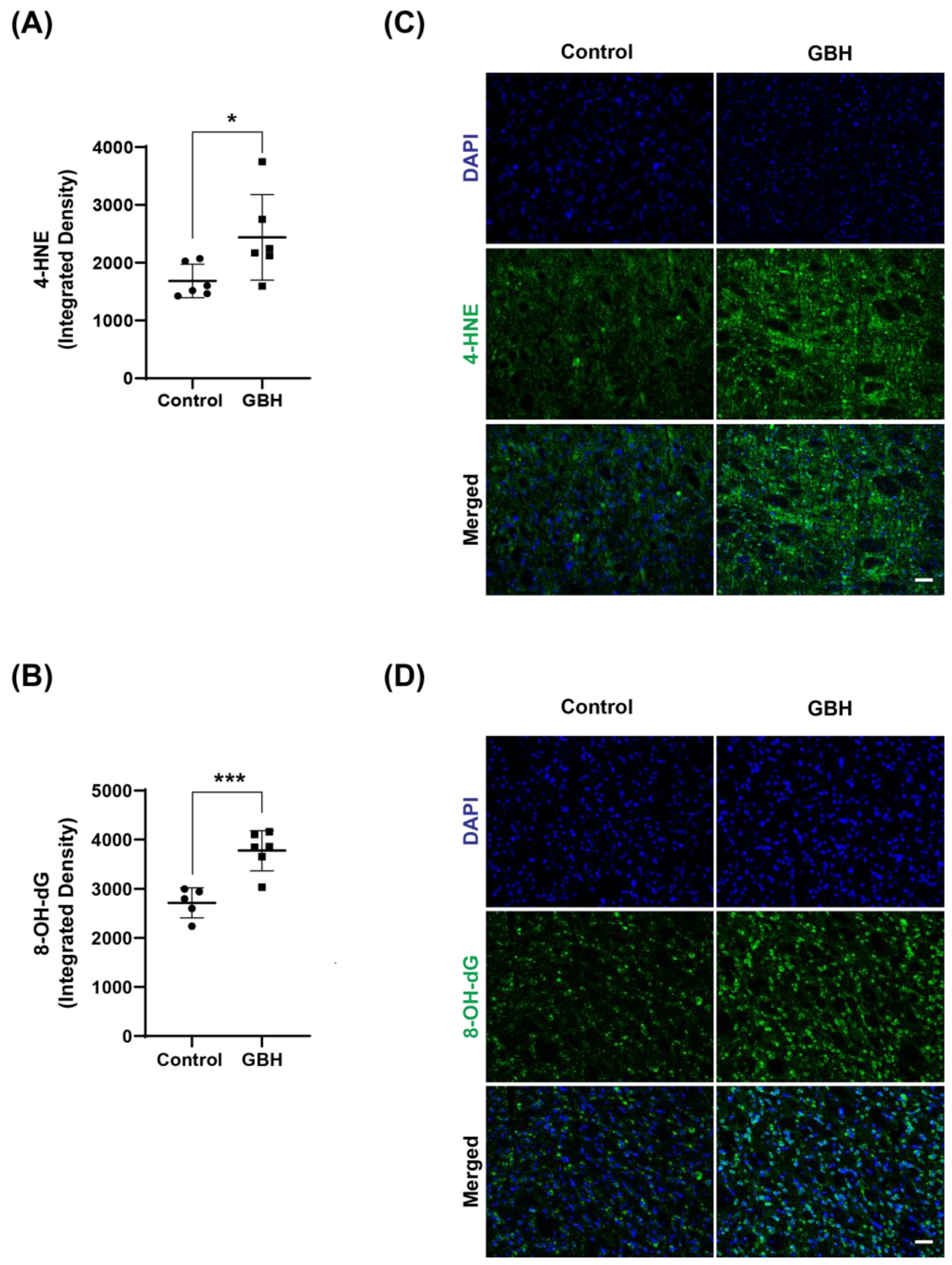 Antioxidants 12 01825 g002
