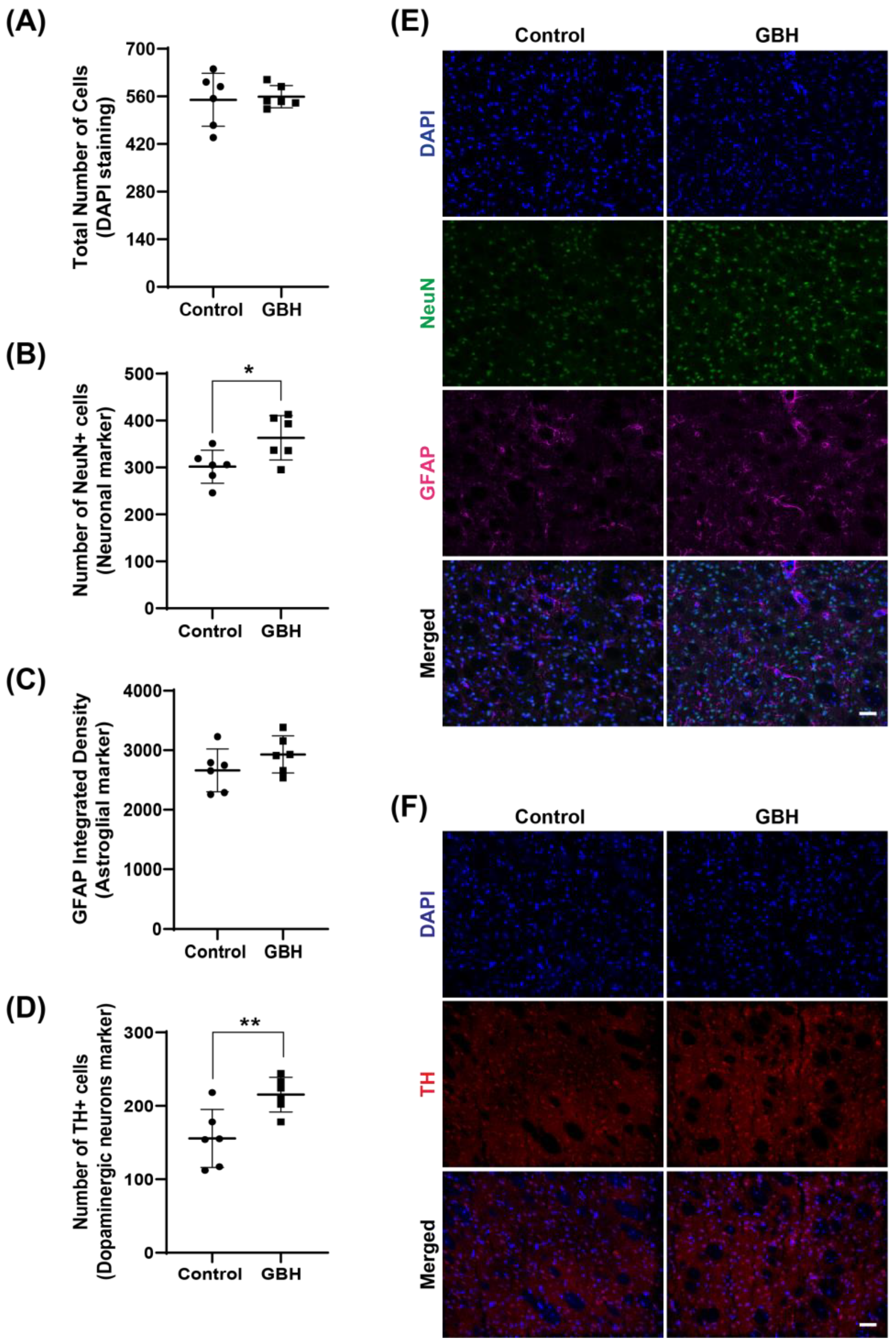 Antioxidants 12 01825 g005