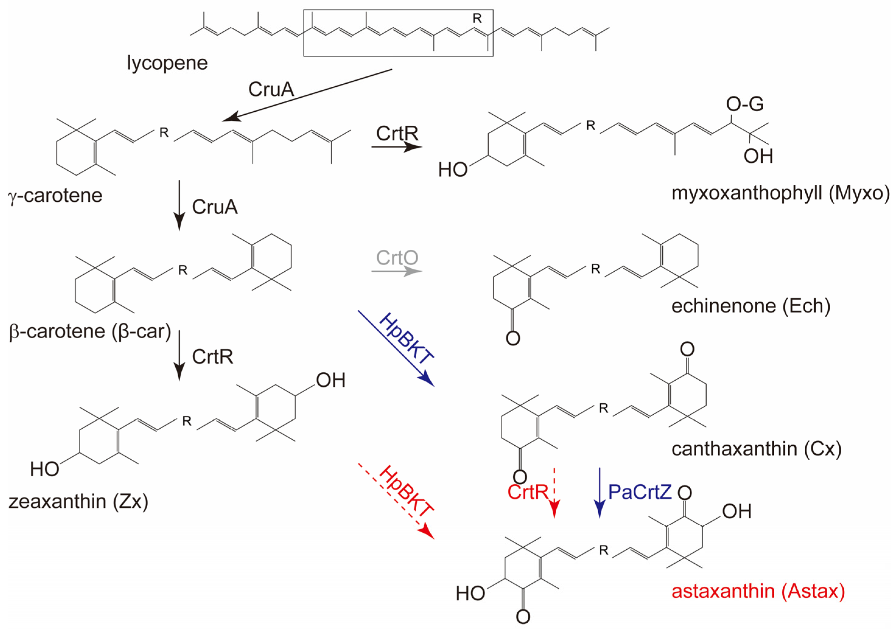 Antioxidants 12 01826 g001