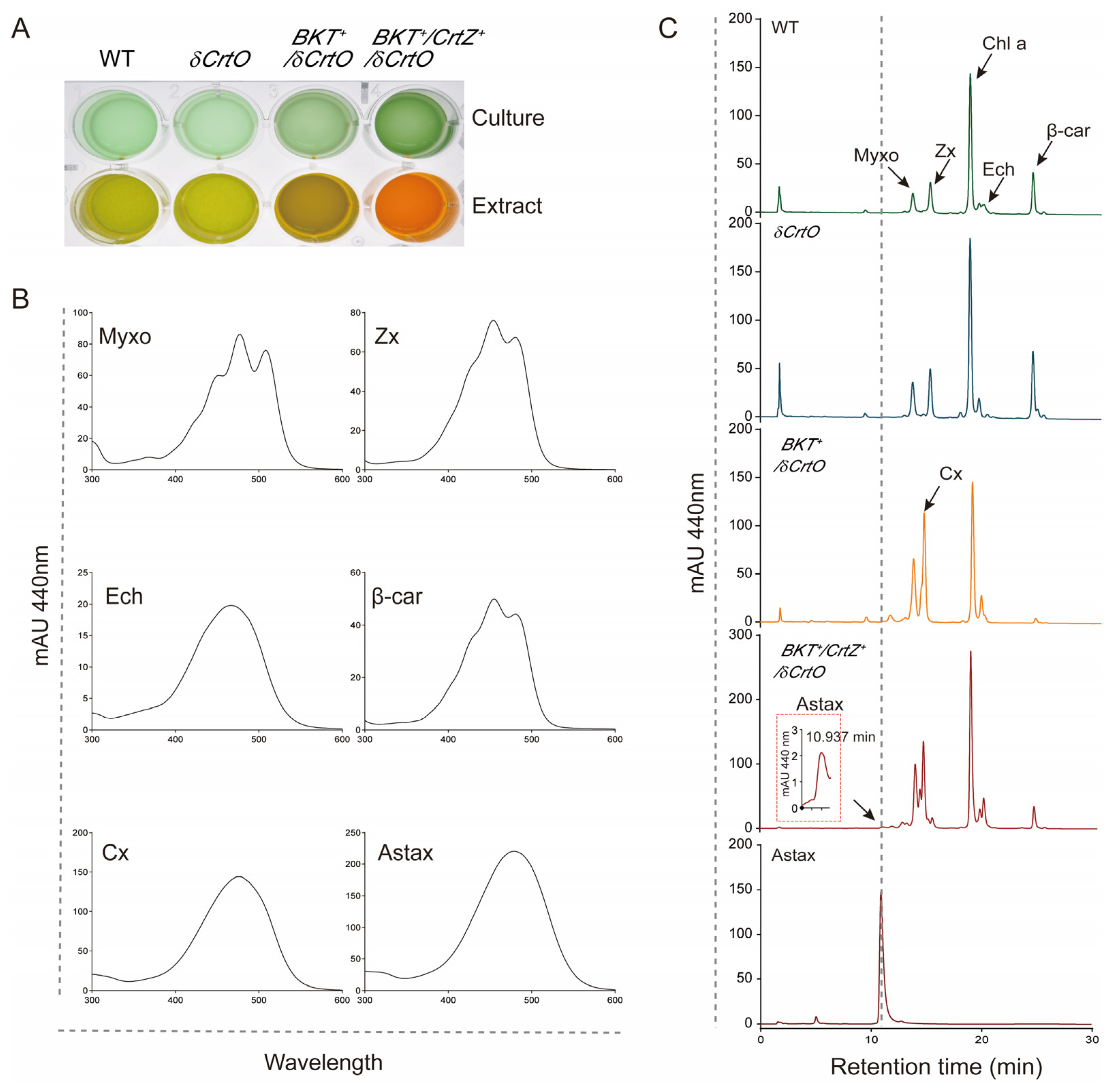 Antioxidants 12 01826 g003