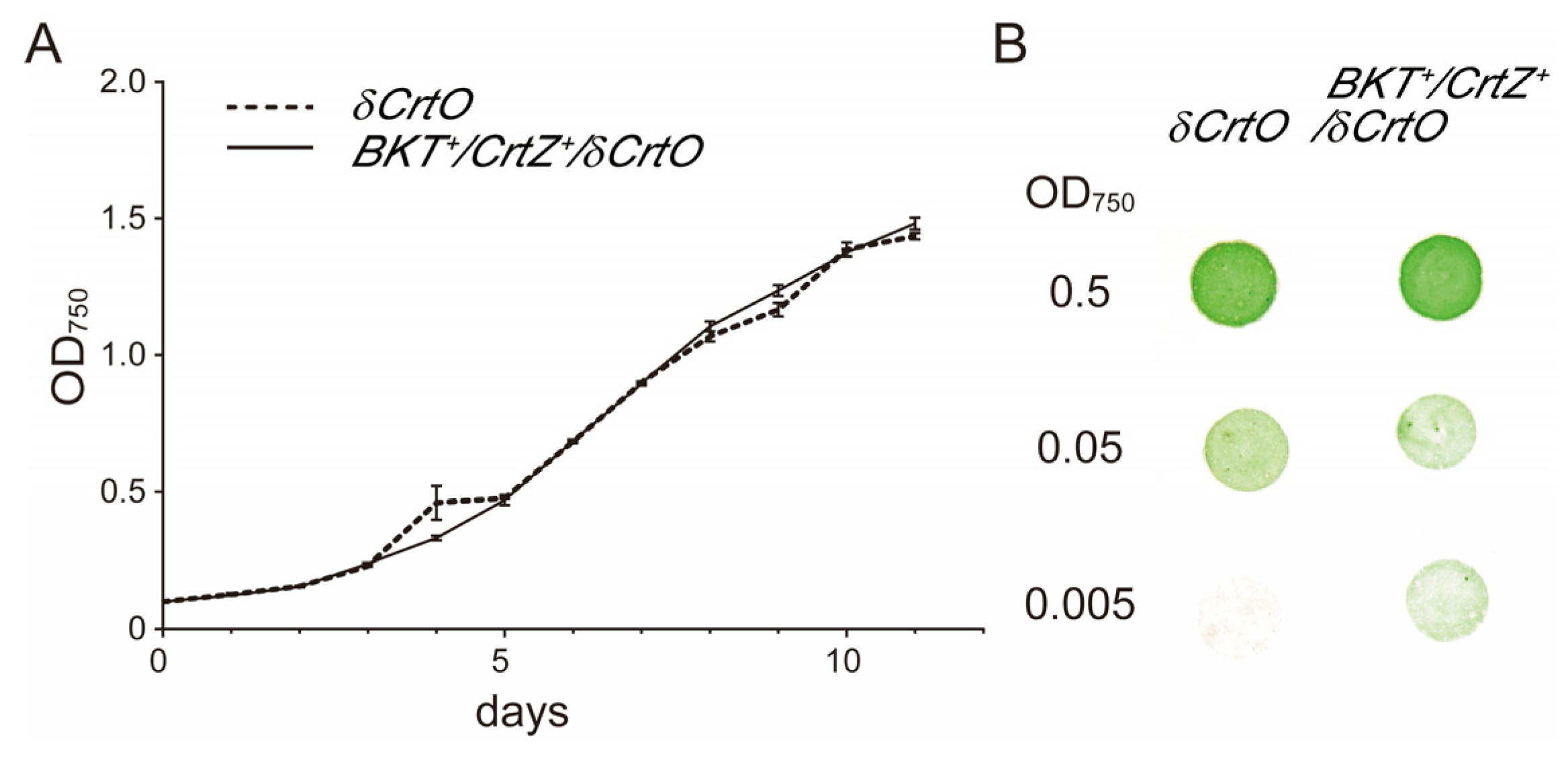 Antioxidants 12 01826 g005