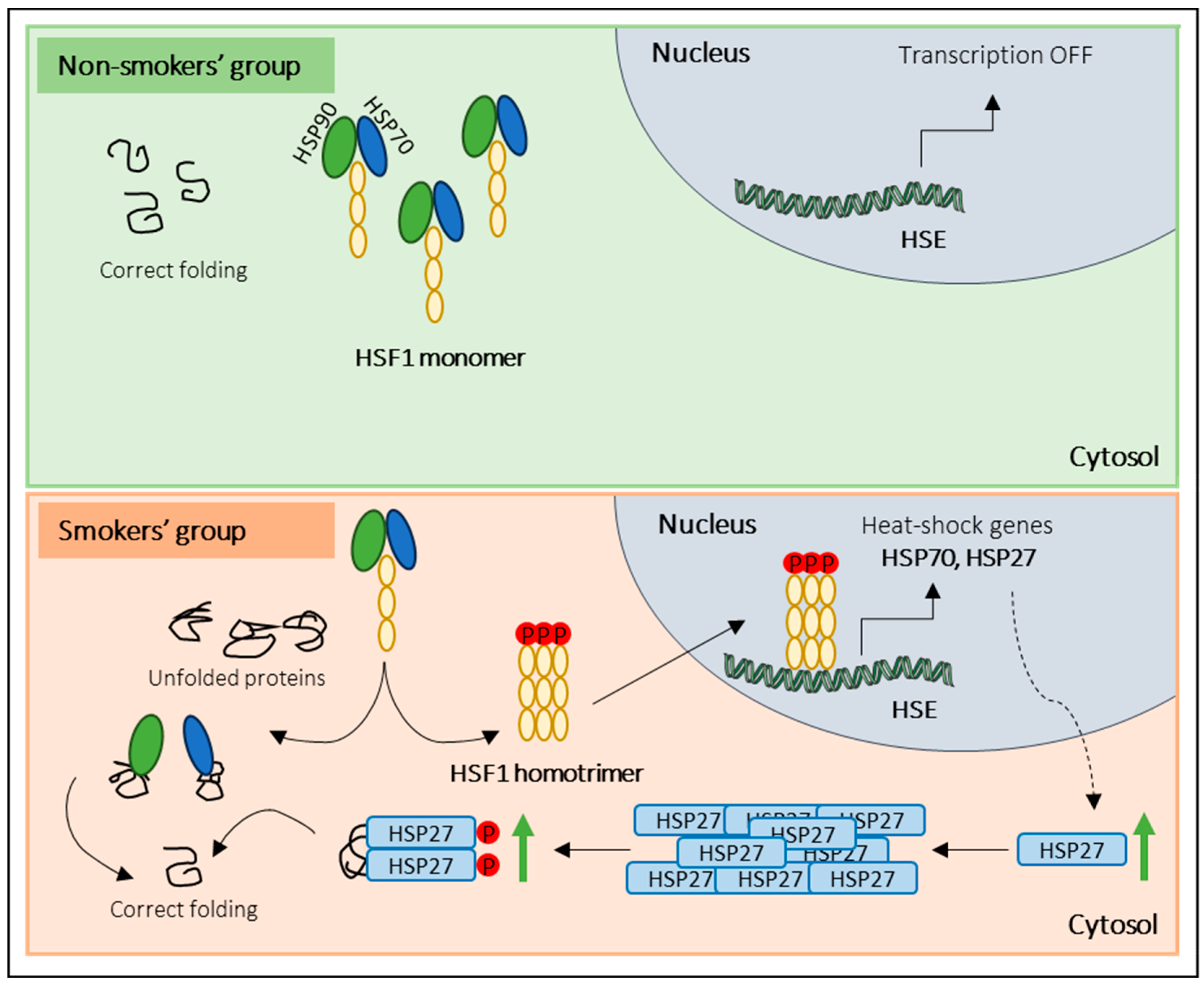 Antioxidants 12 01828 g005