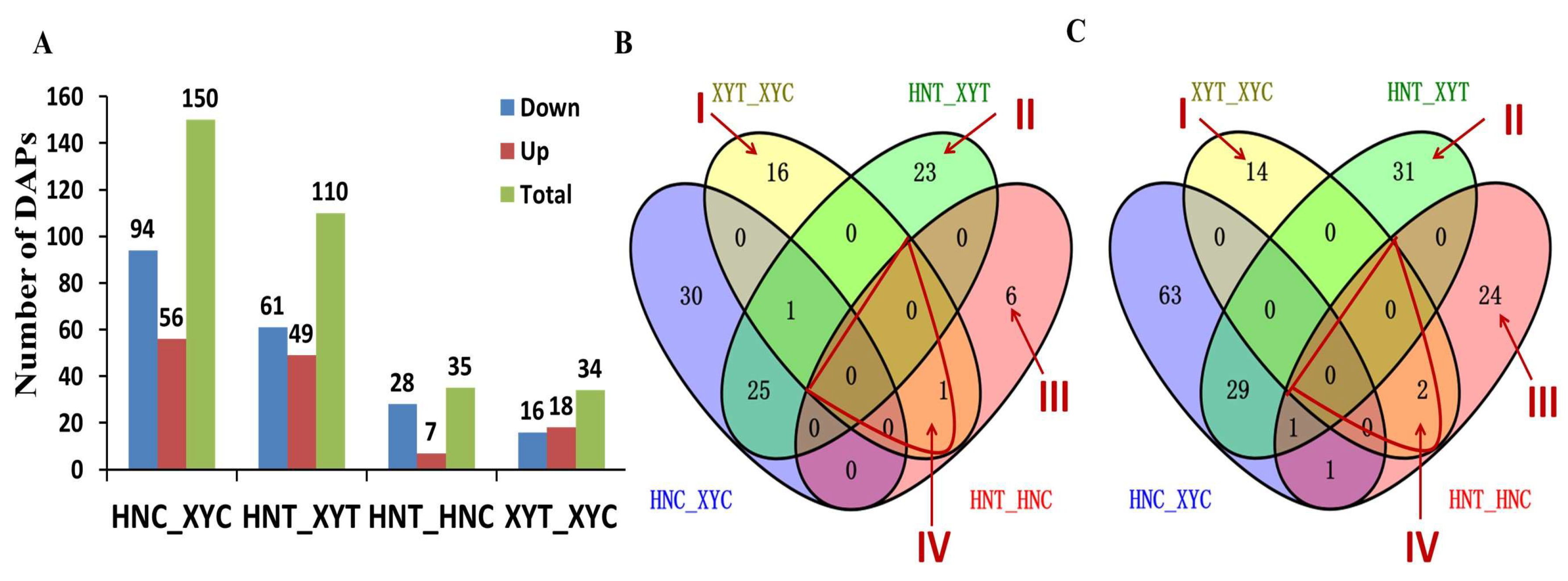 Antioxidants 12 01831 g002