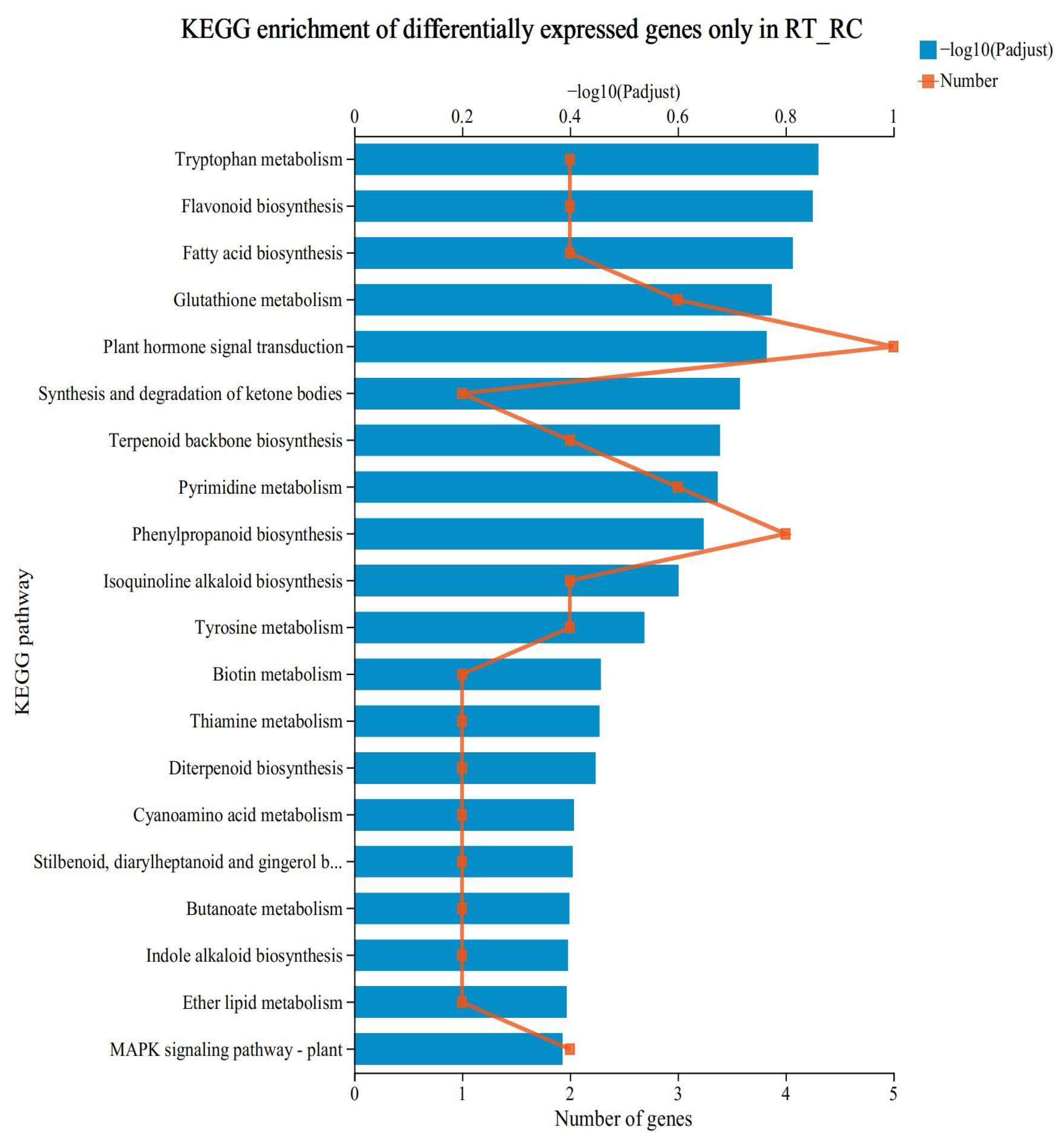 Antioxidants 12 01831 g004