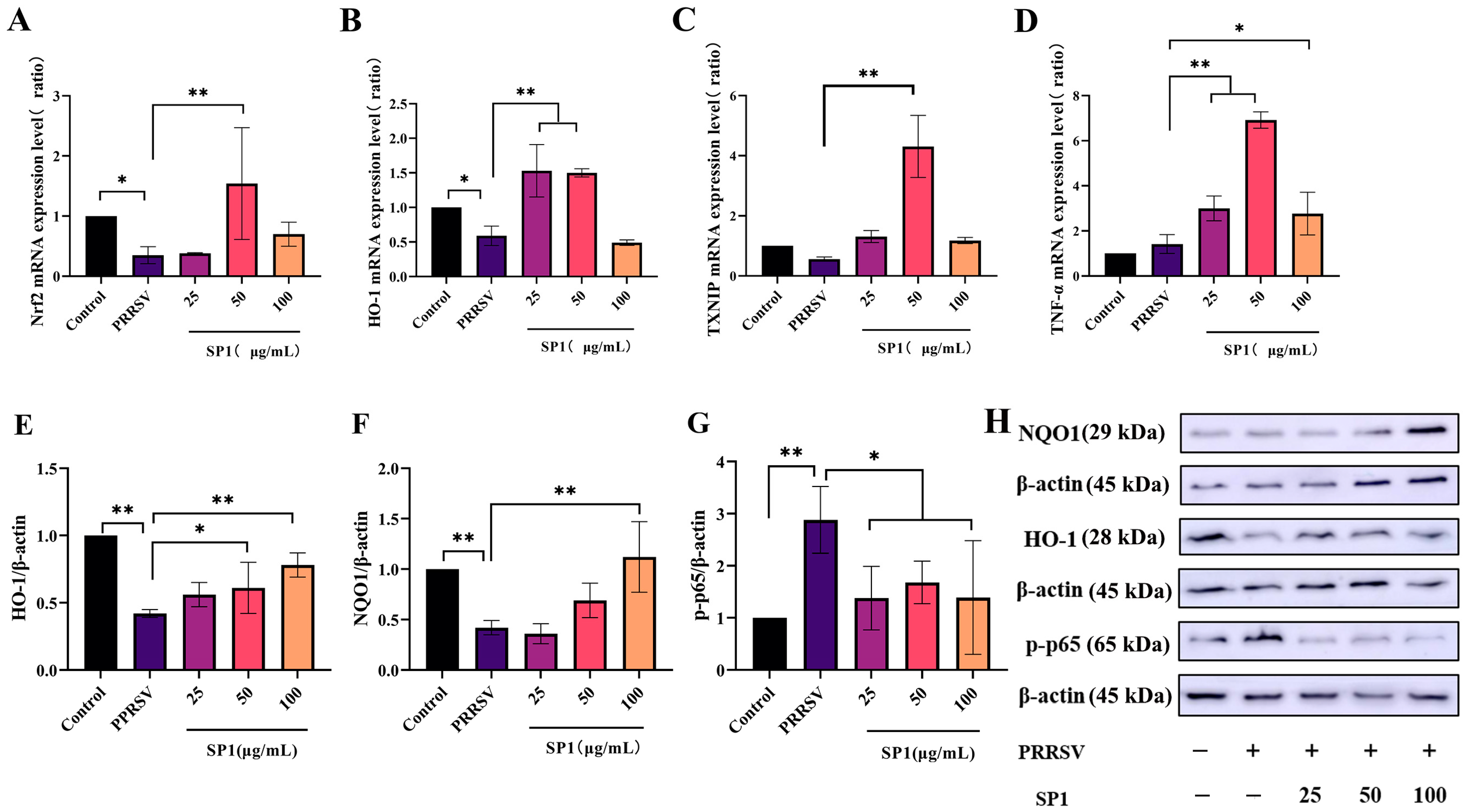Antioxidants 12 01832 g012