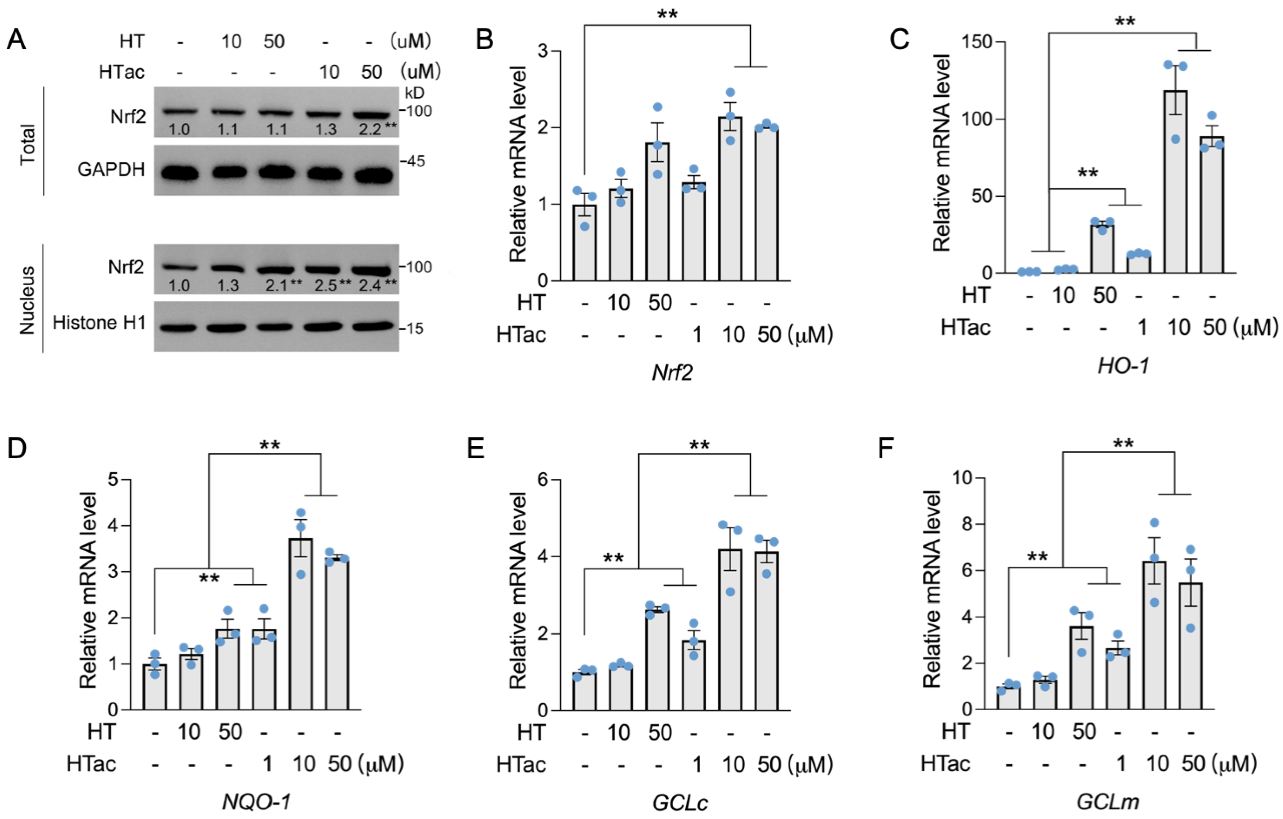 Antioxidants 12 01834 g003