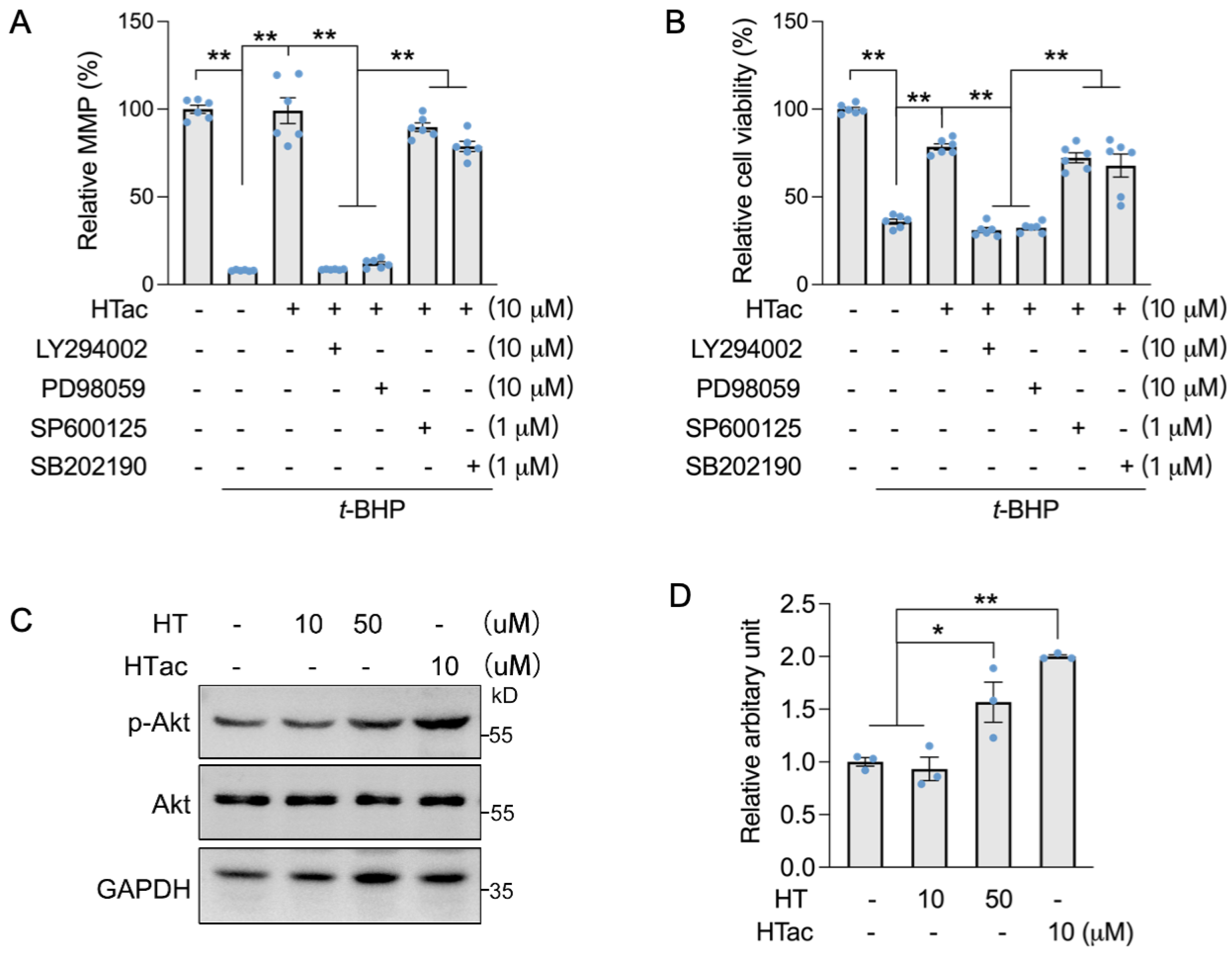 Antioxidants 12 01834 g004
