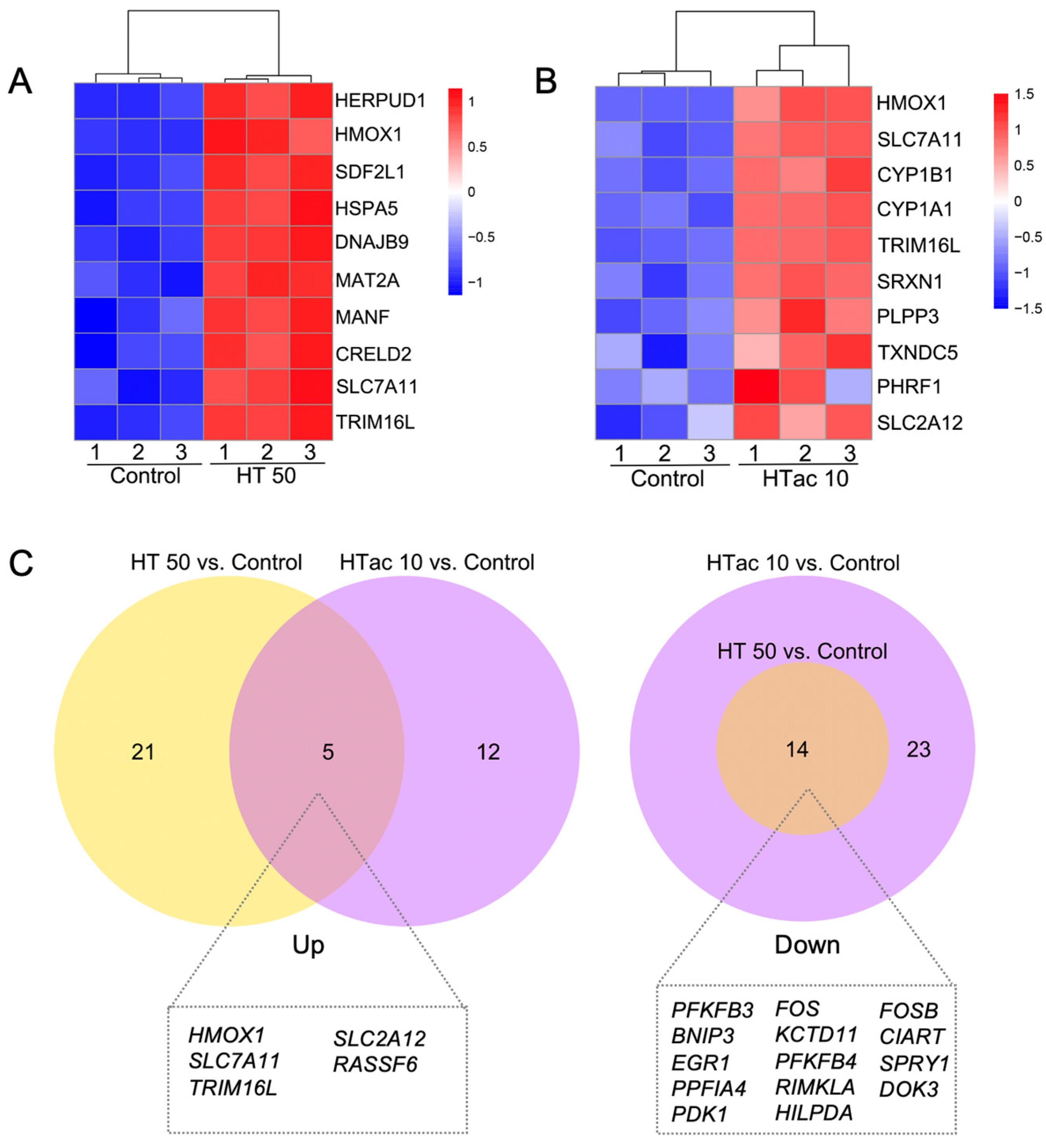 Antioxidants 12 01834 g006