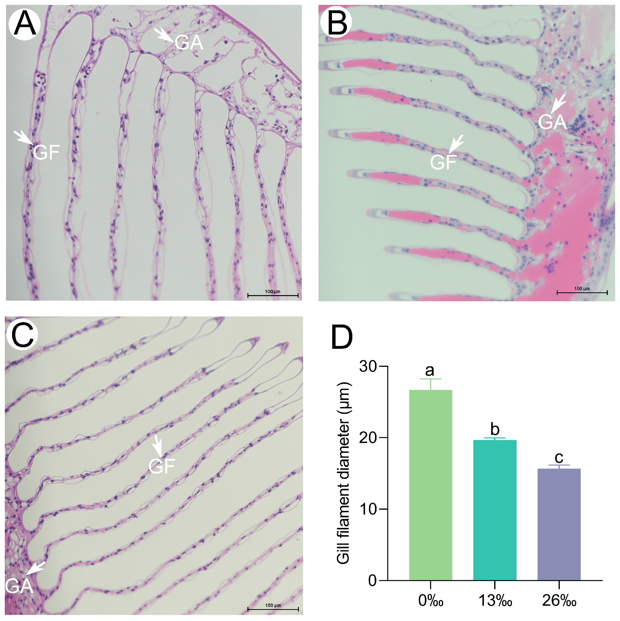 Antioxidants 12 01836 g005