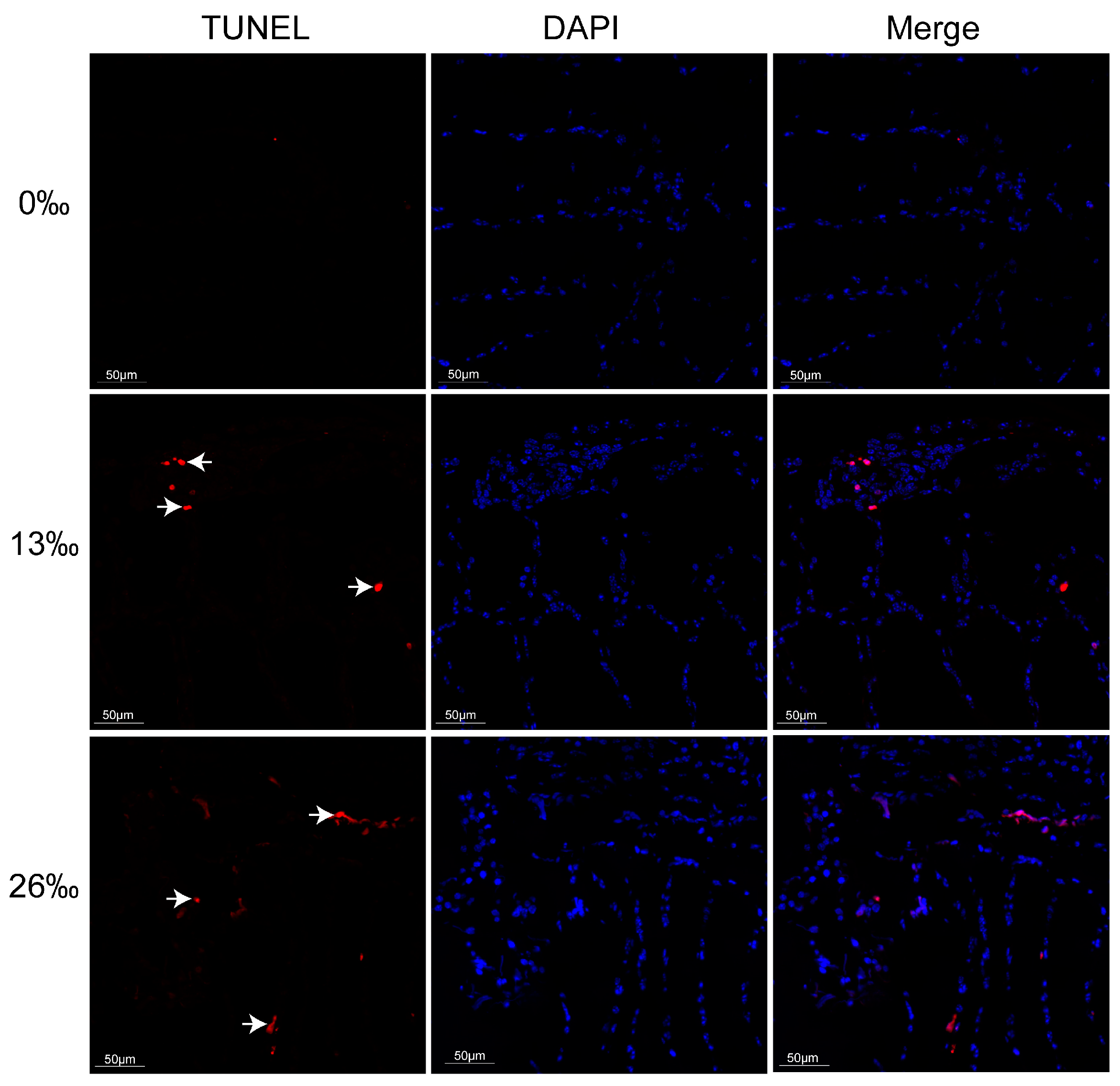 Antioxidants 12 01836 g006