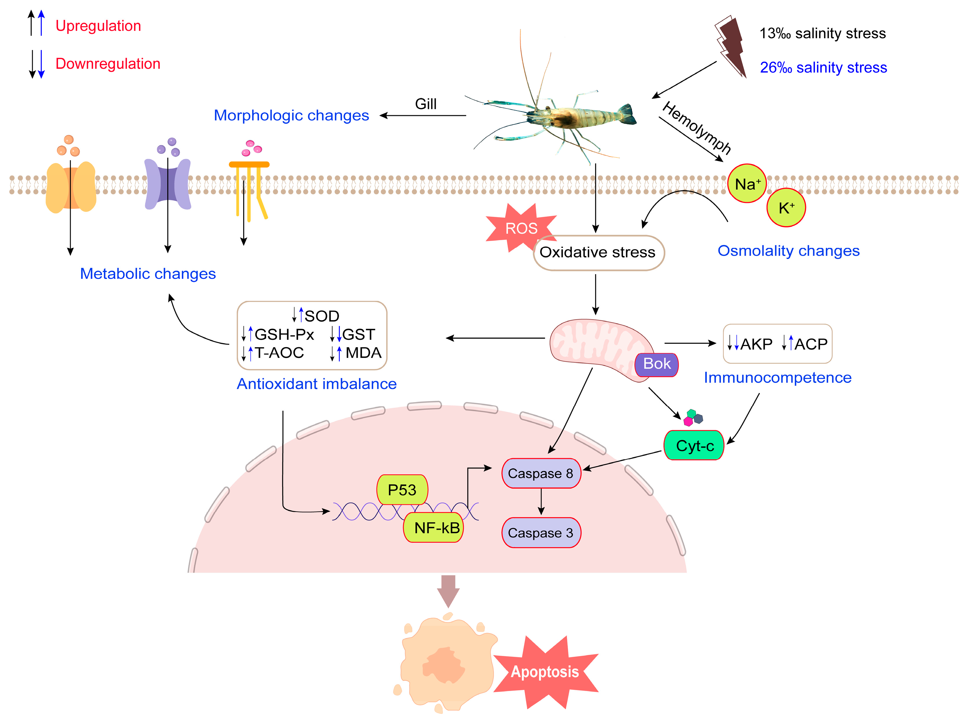 Antioxidants 12 01836 g009