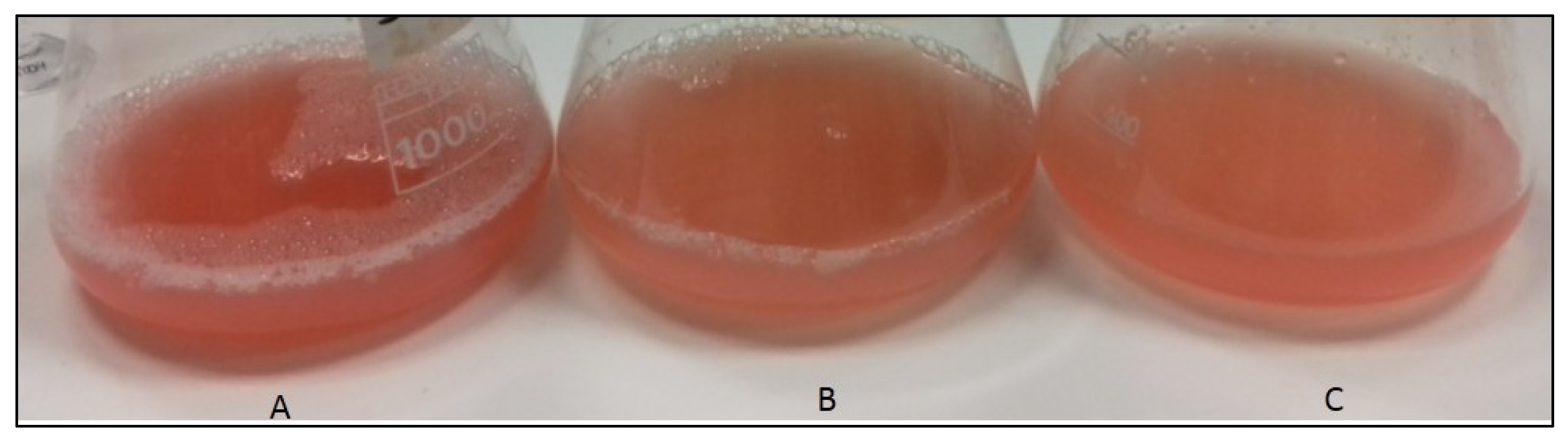 Antioxidants 12 01840 g001