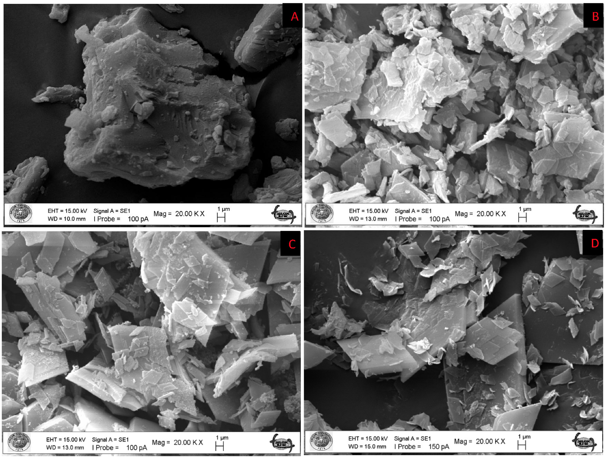 Antioxidants 12 01842 g001