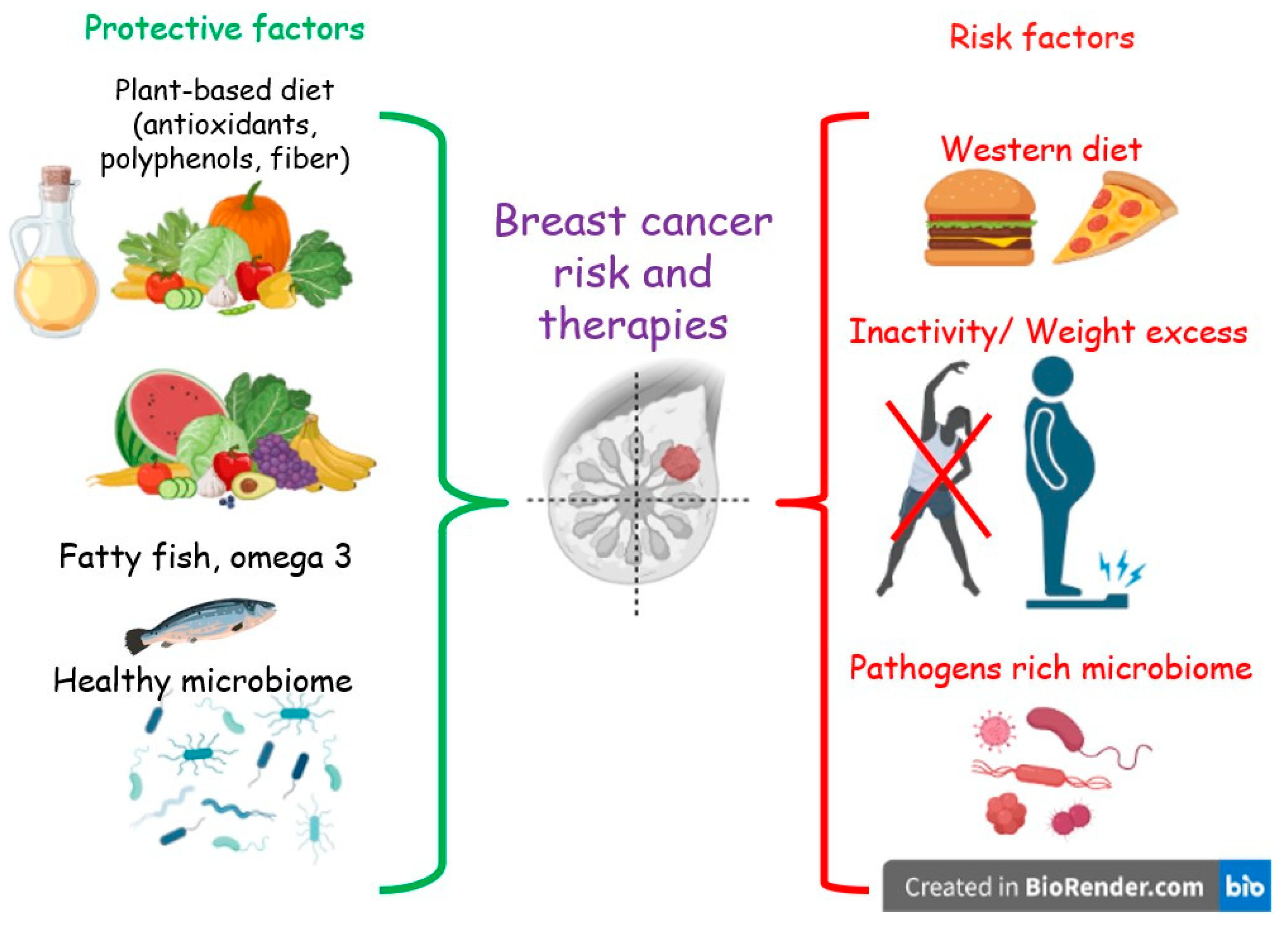 Antioxidants 12 01845 g001