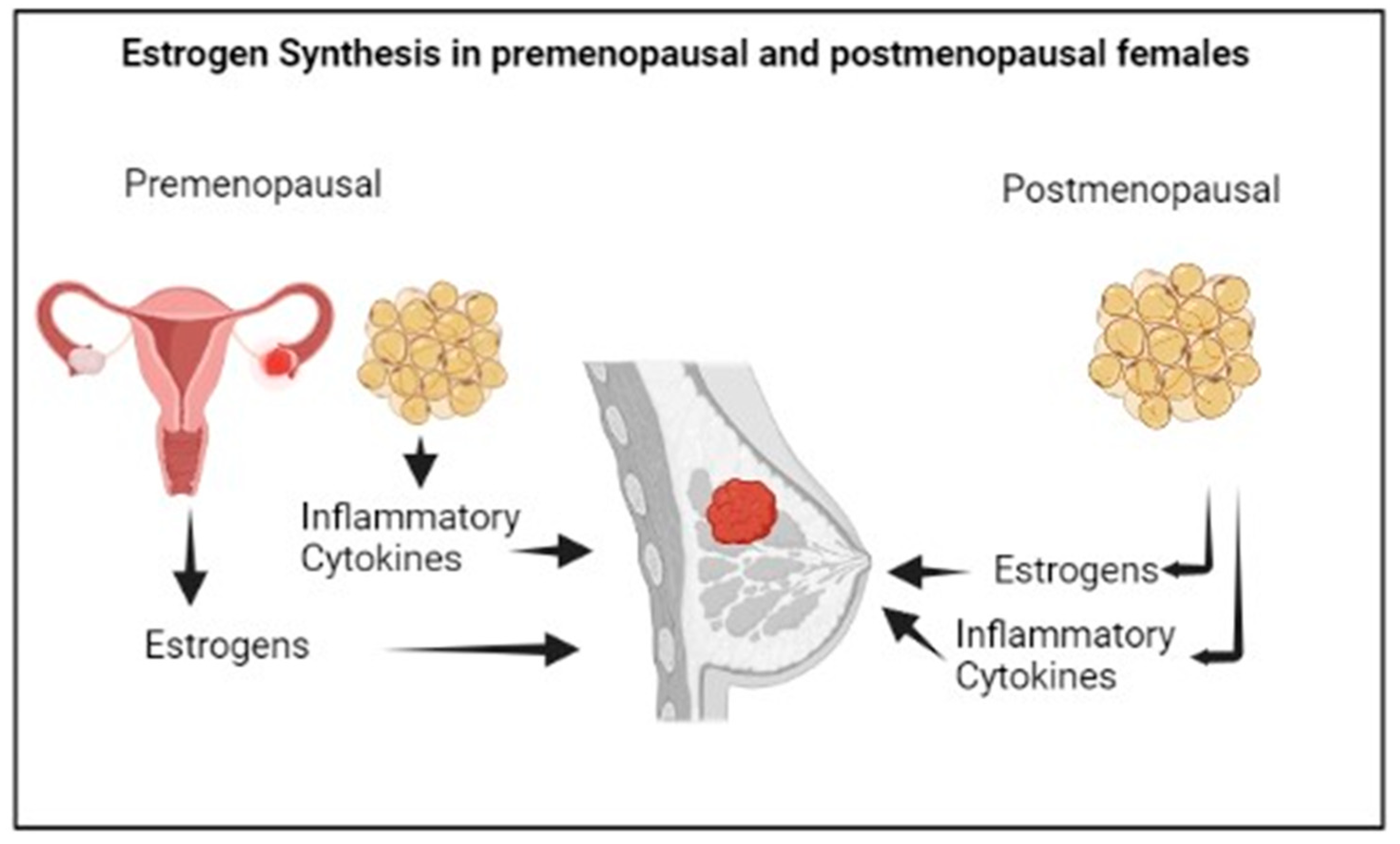 Antioxidants 12 01845 g003