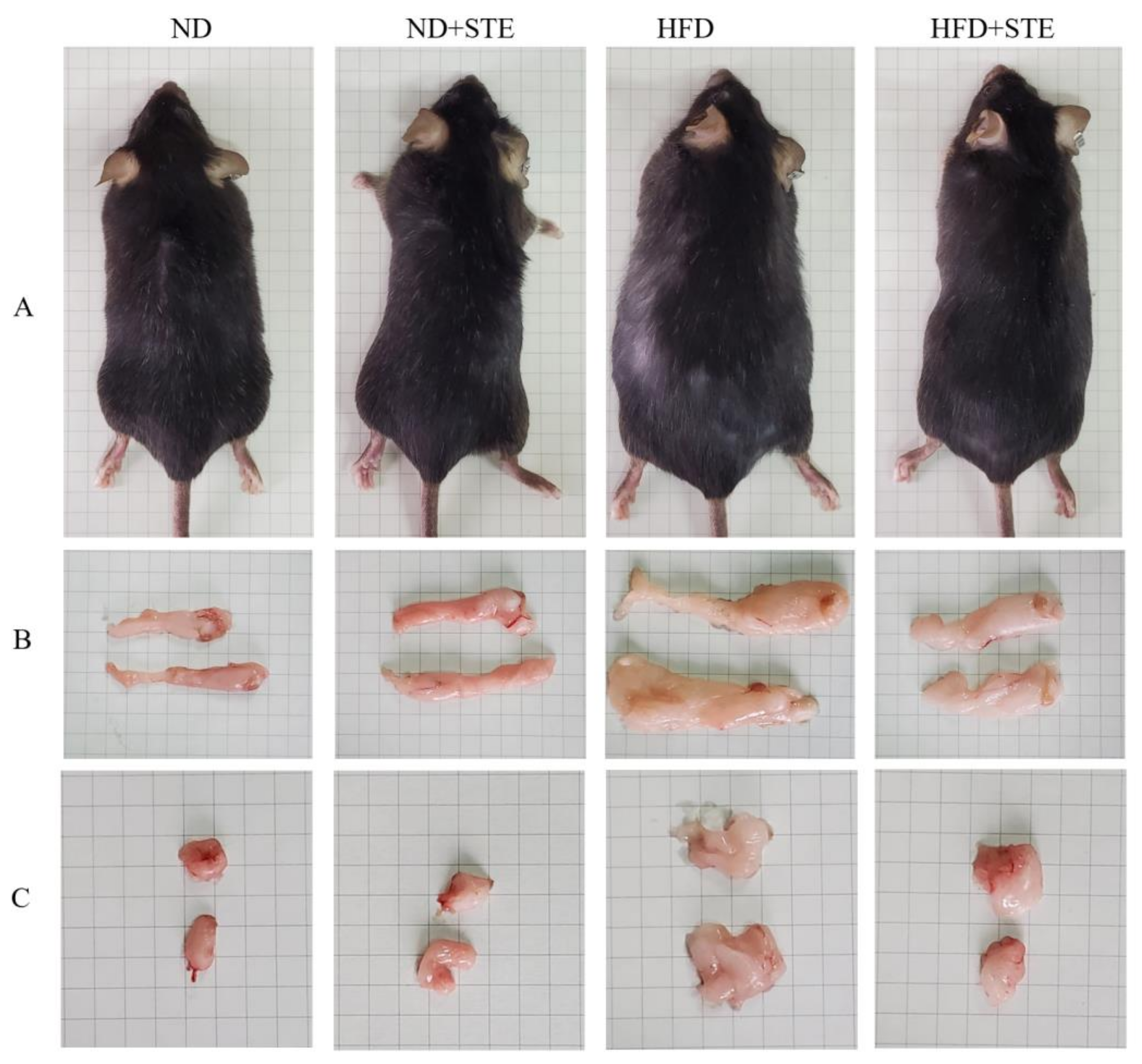 Antioxidants 12 01848 g001