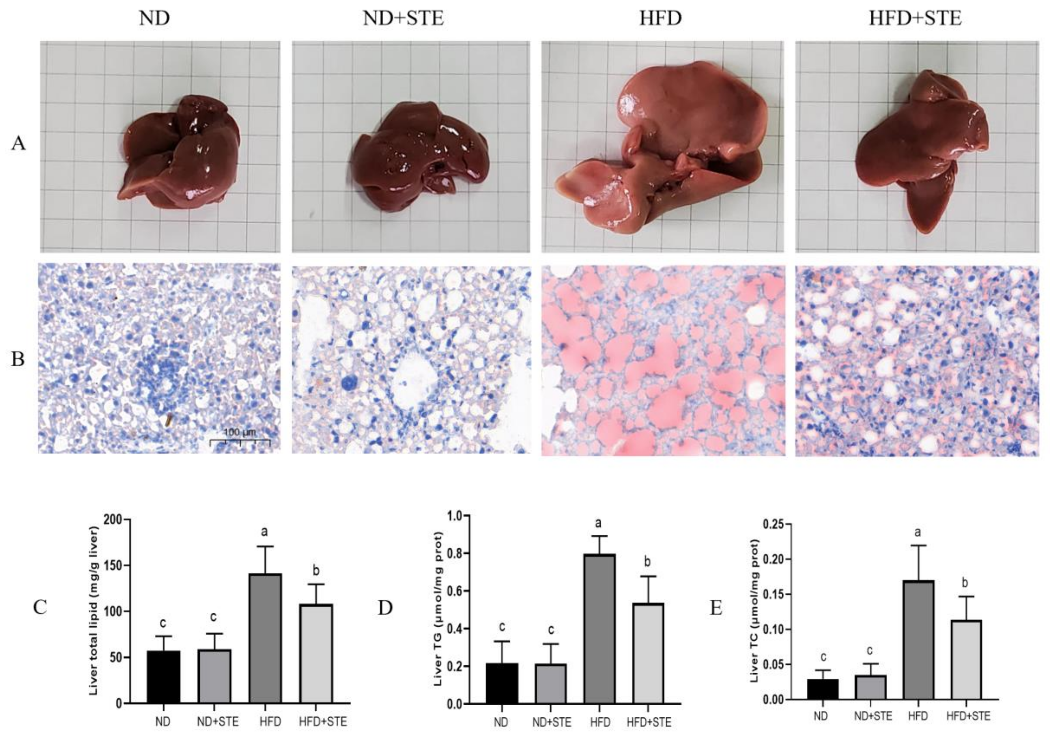 Antioxidants 12 01848 g003