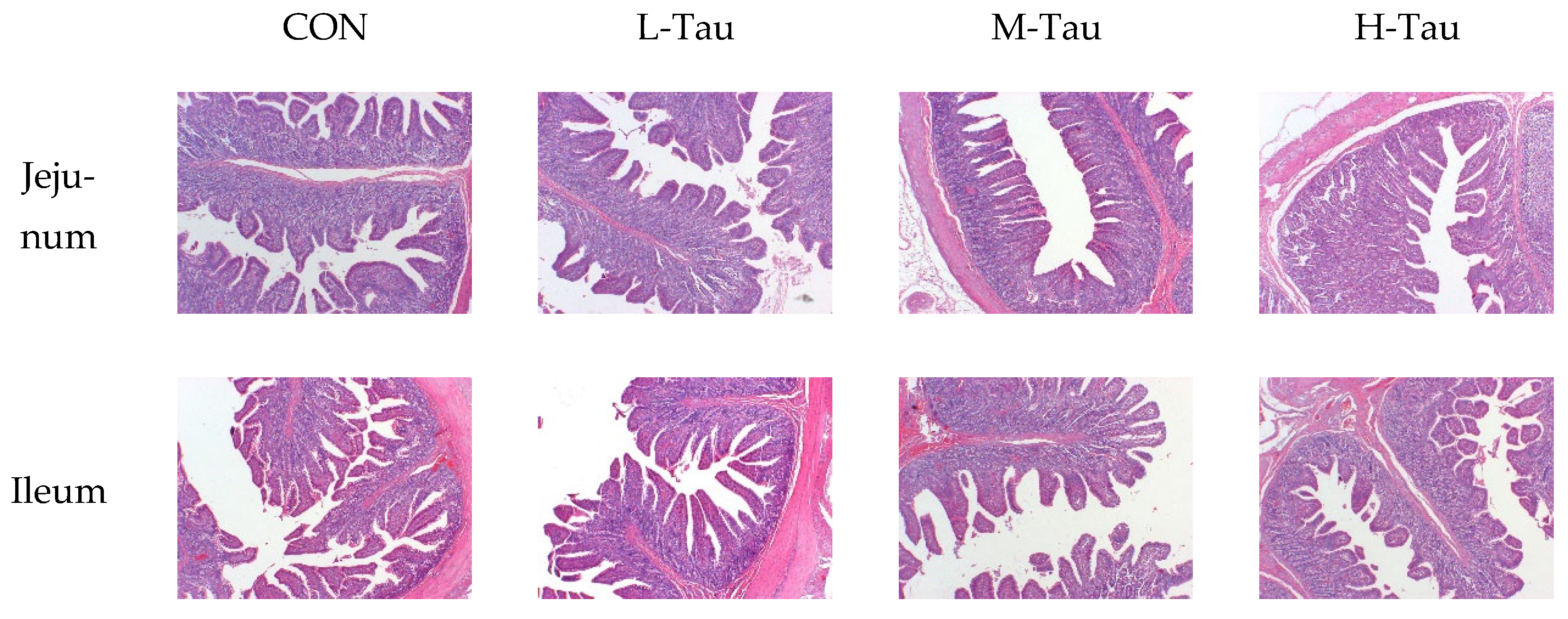 Antioxidants 12 01852 g002