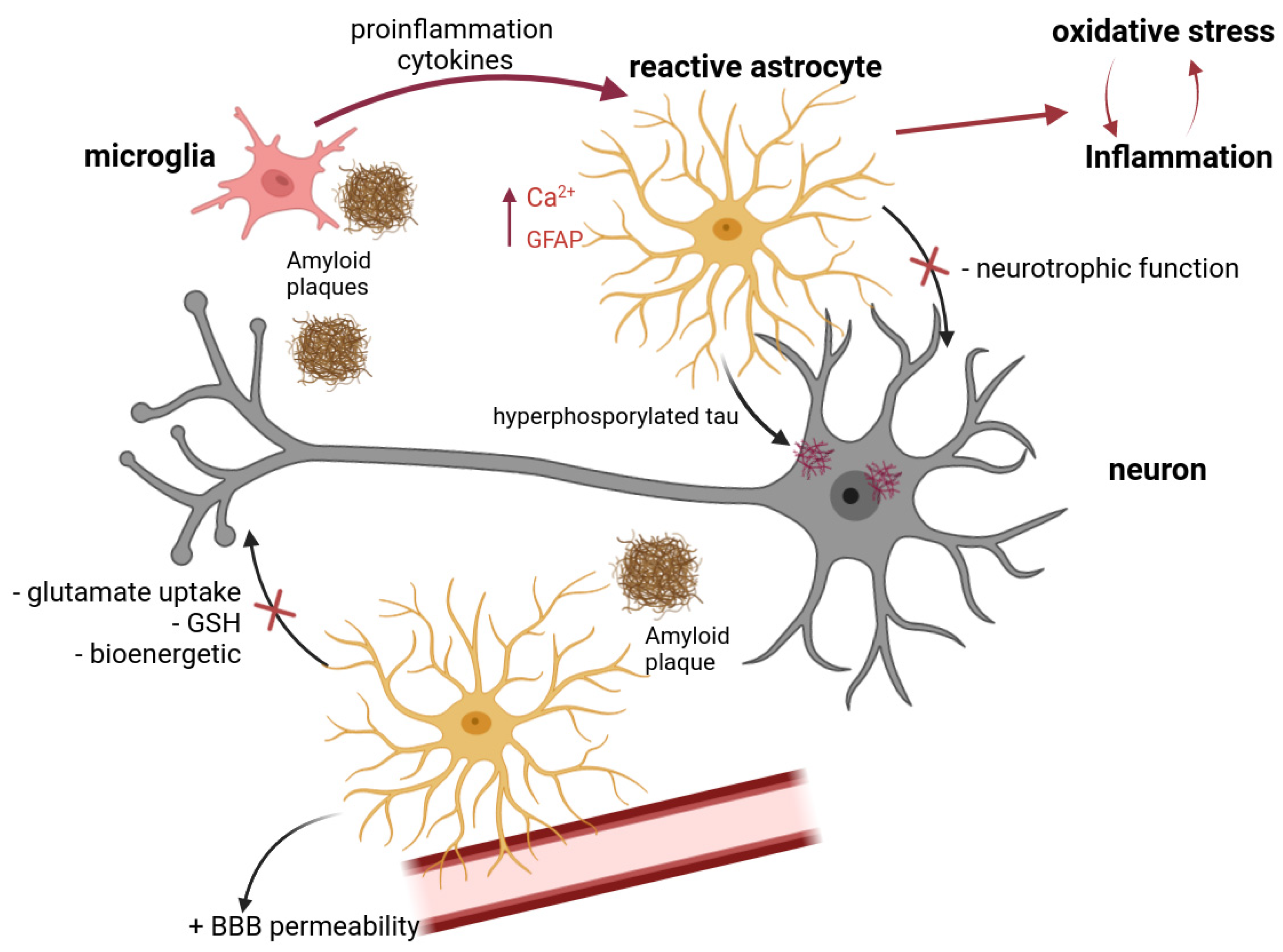 Antioxidants 12 01856 g001