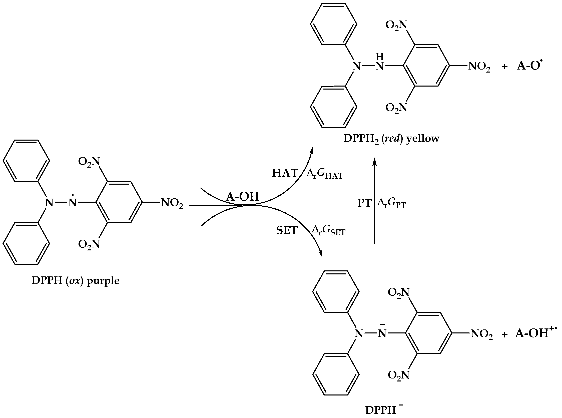 Antioxidants 12 01858 g003