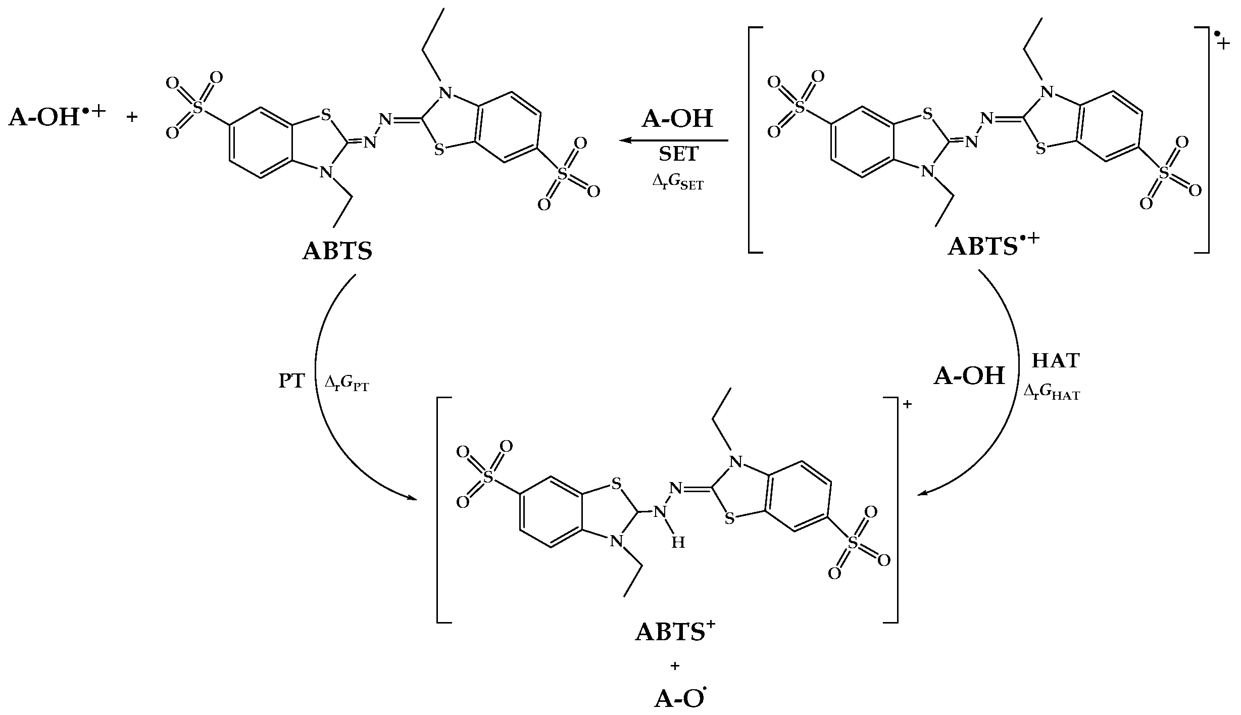 Antioxidants 12 01858 g004