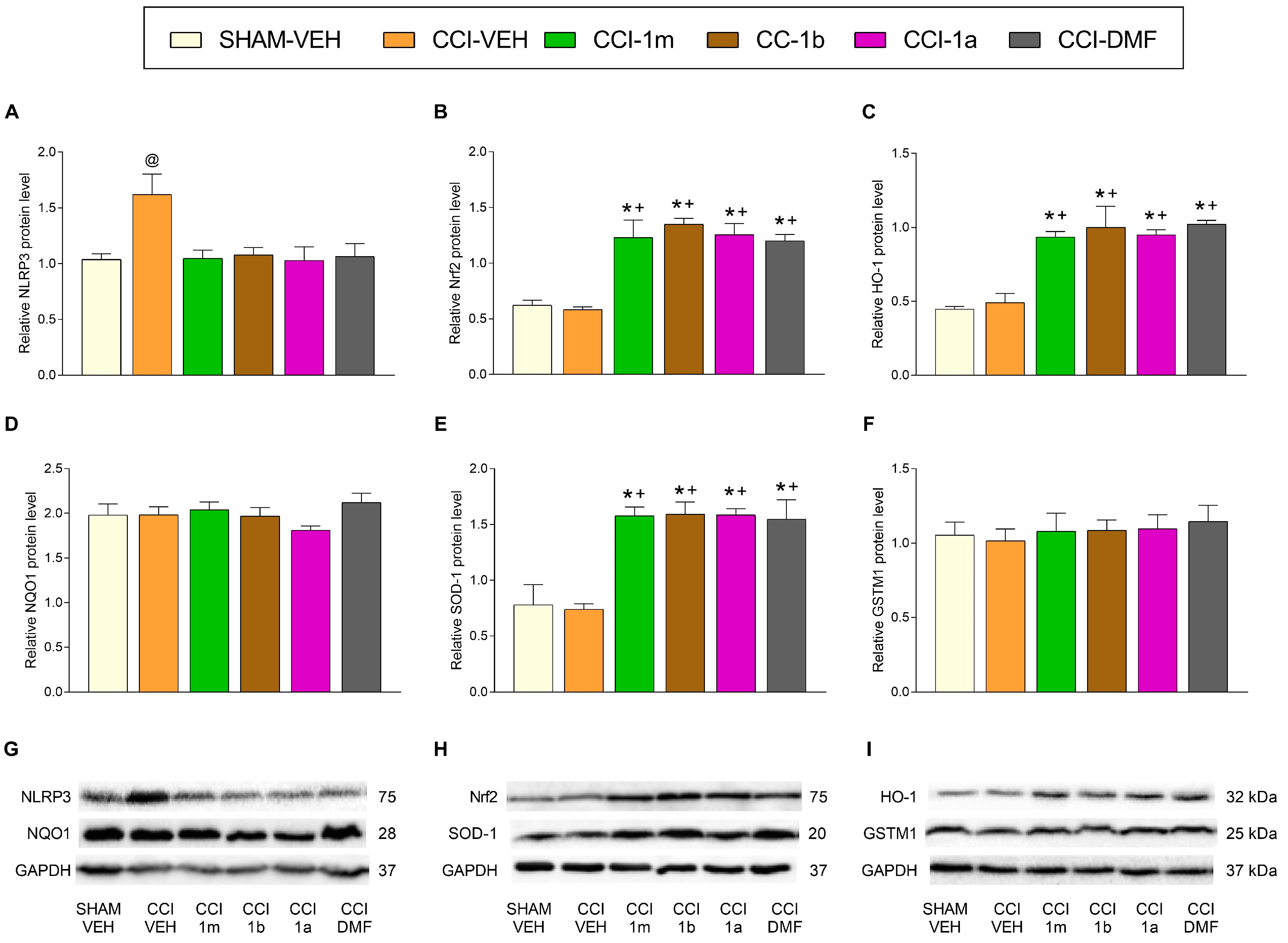 Antioxidants 12 01859 g004