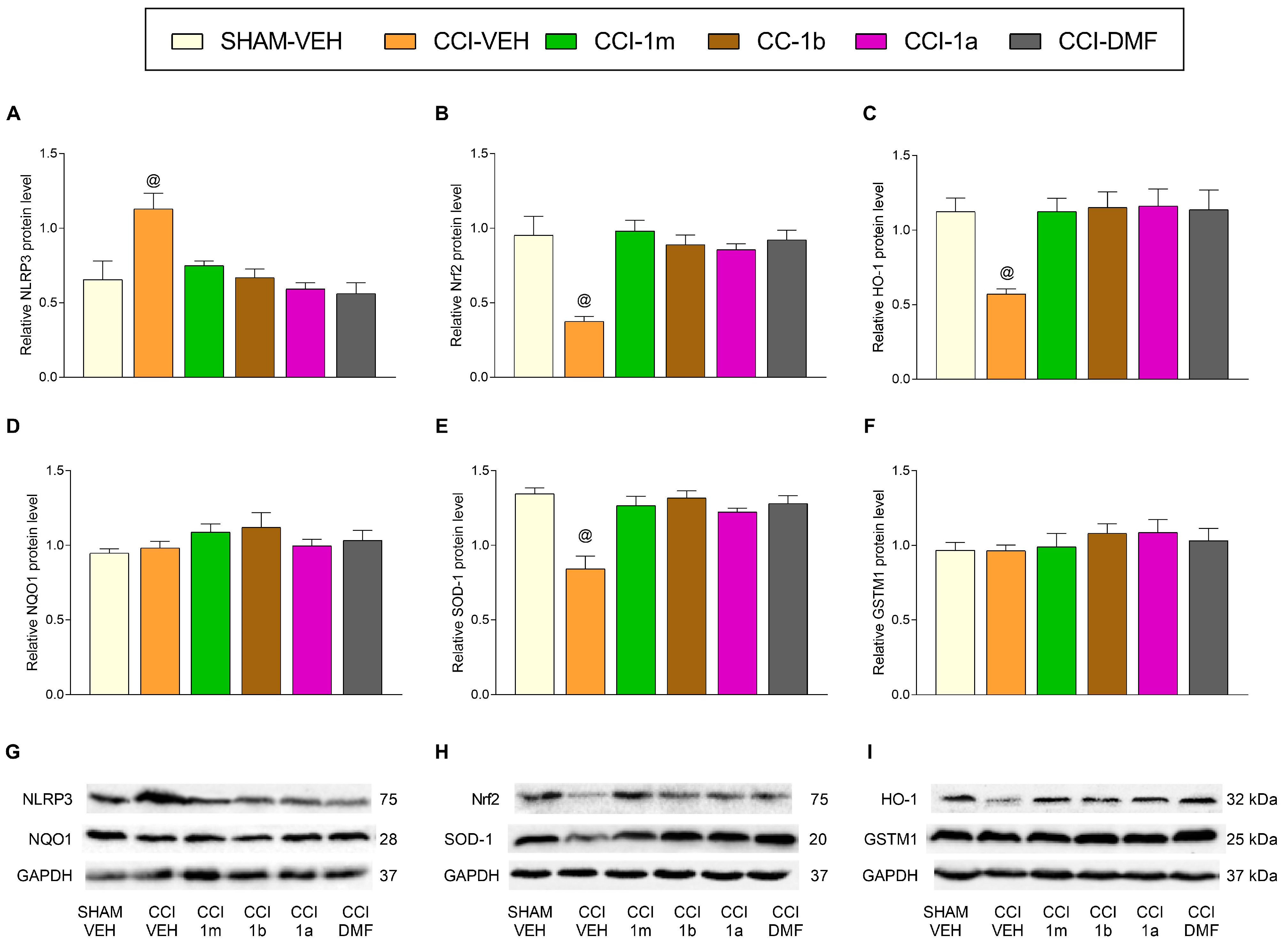 Antioxidants 12 01859 g005