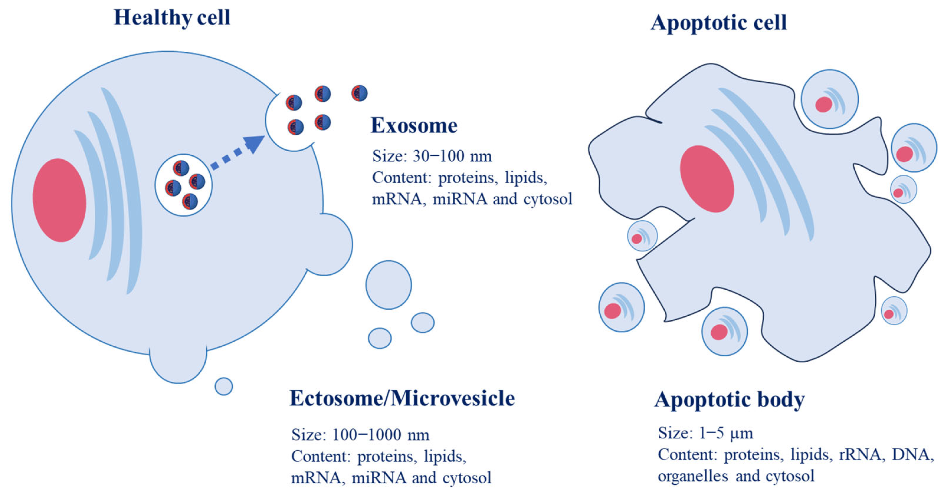 Antioxidants 12 01862 g001