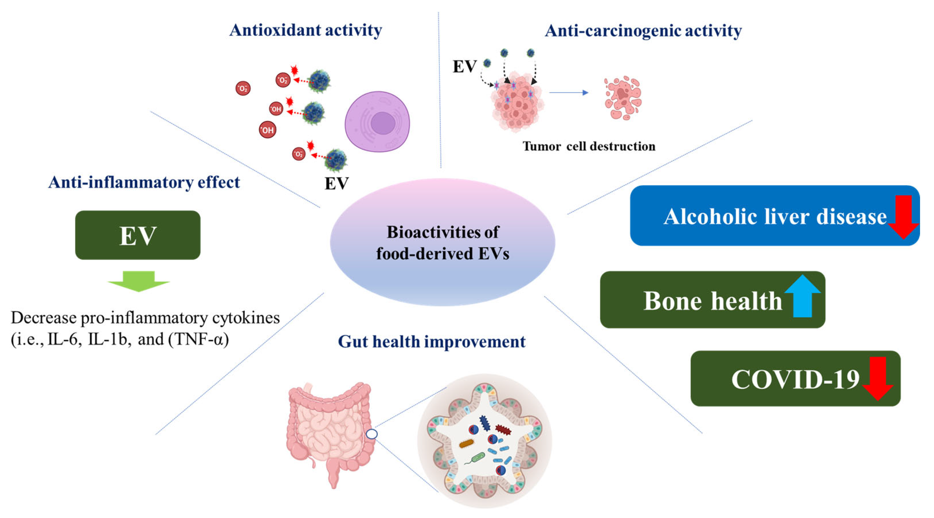 Antioxidants 12 01862 g003