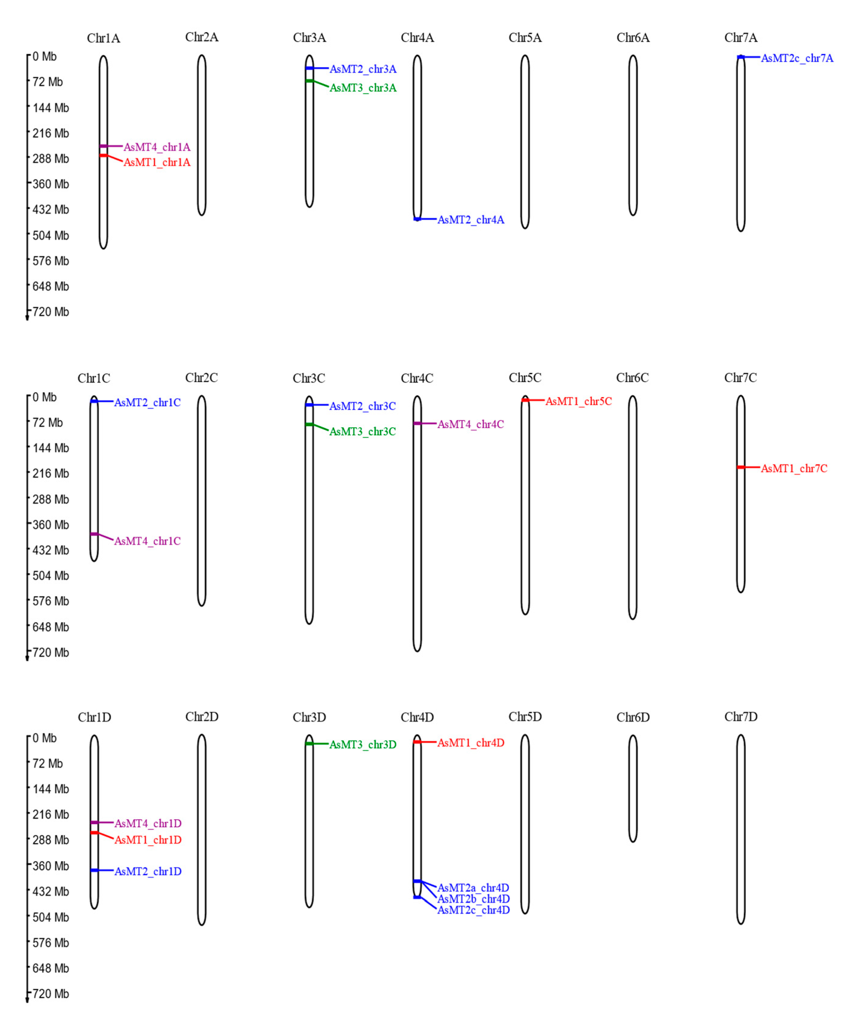 Antioxidants 12 01865 g001