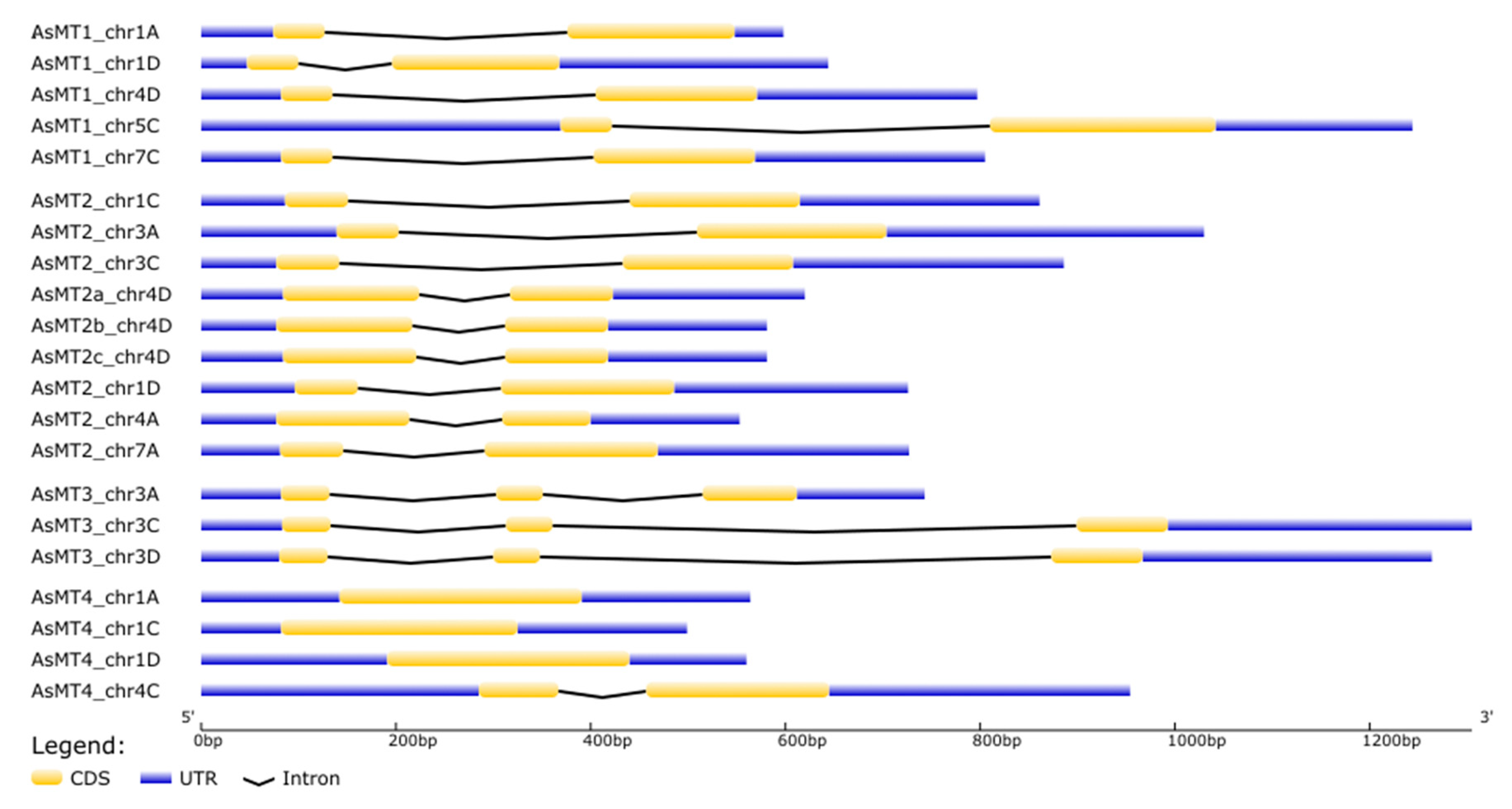 Antioxidants 12 01865 g002